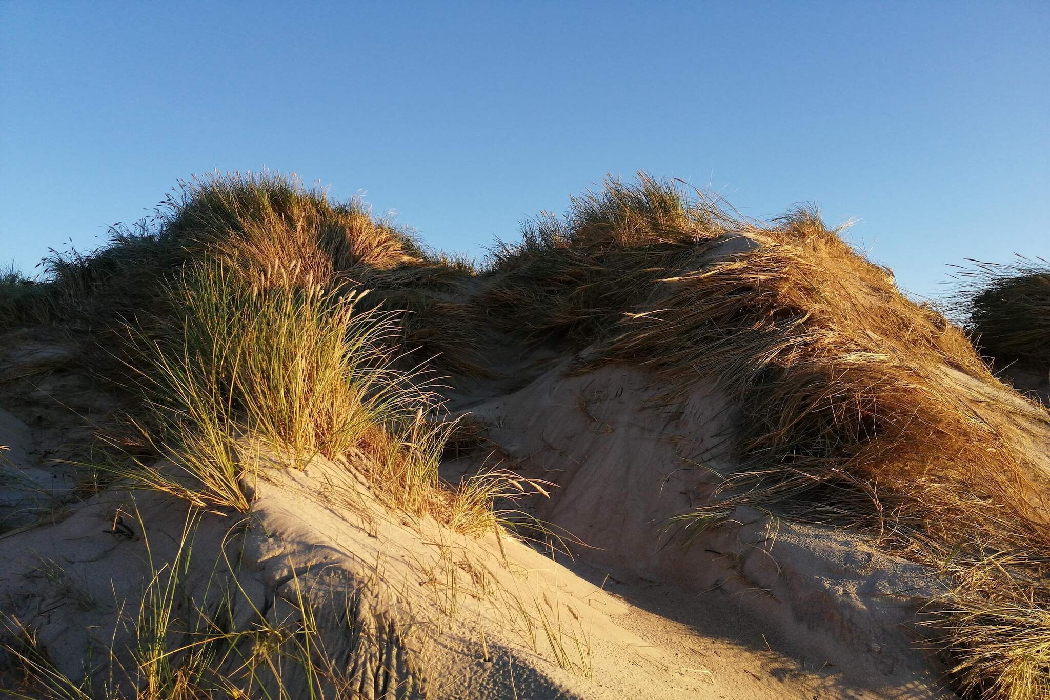 Secluded Dune Retreat-By Traum