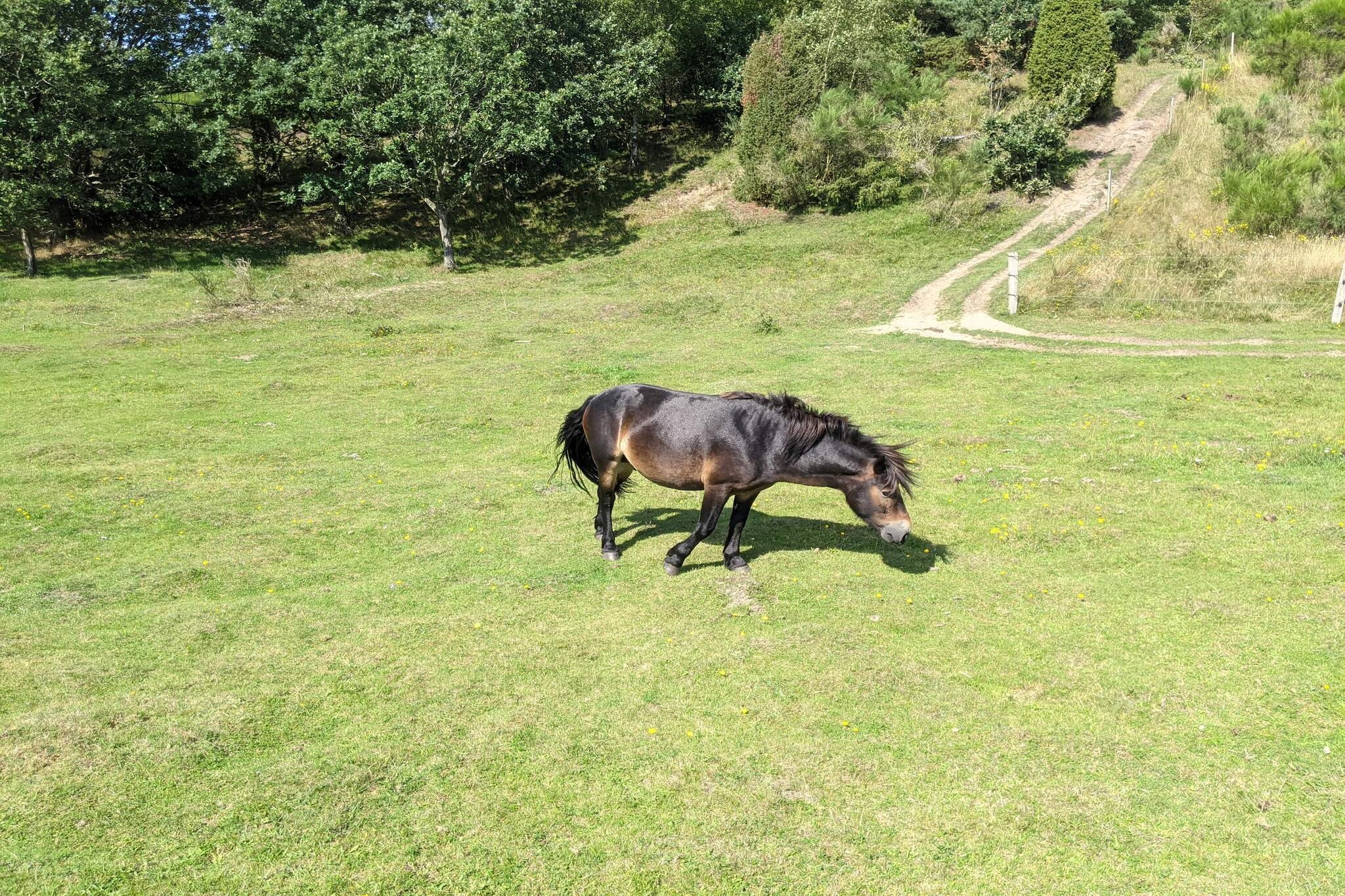 Maison de vacances pour 6 a Ebeltoft - Non tagué