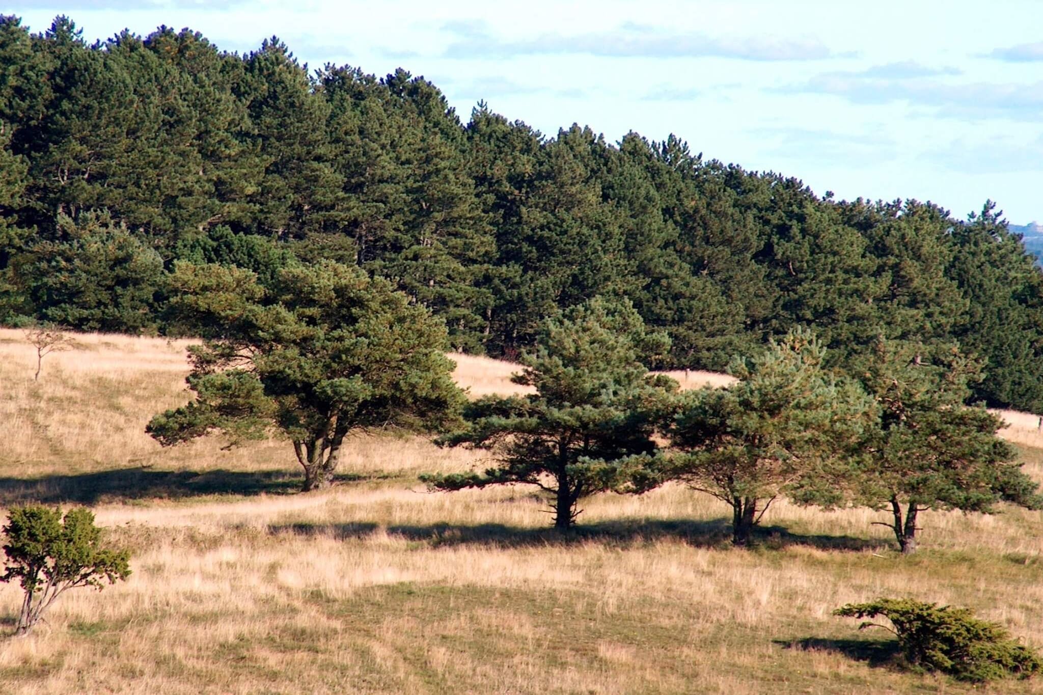 Maison de vacances pour 6 a Ebeltoft - Non tagué