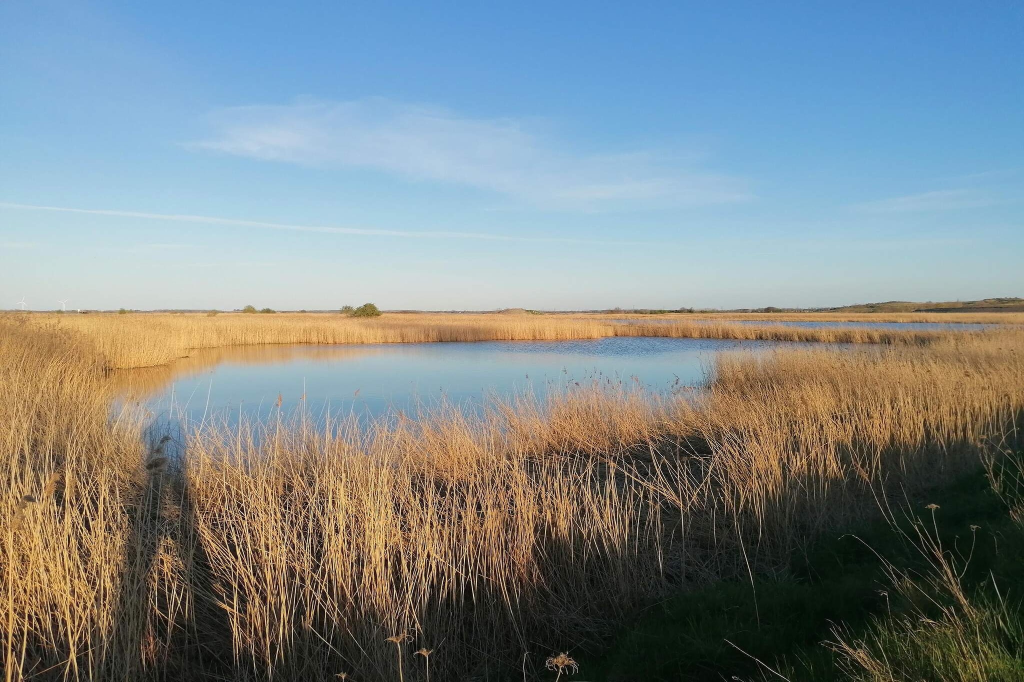 4 person holiday home in Kolding-Water view