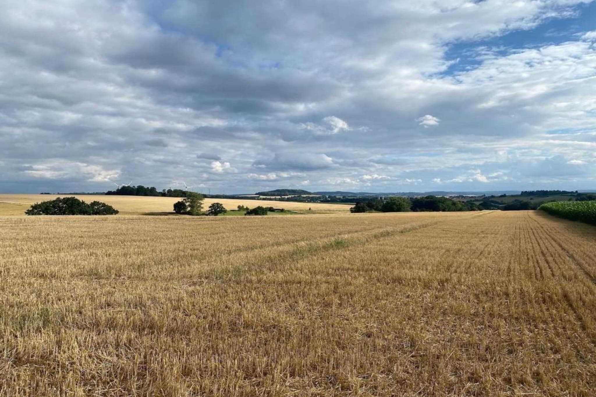 Nieheim-Areas summer 20km