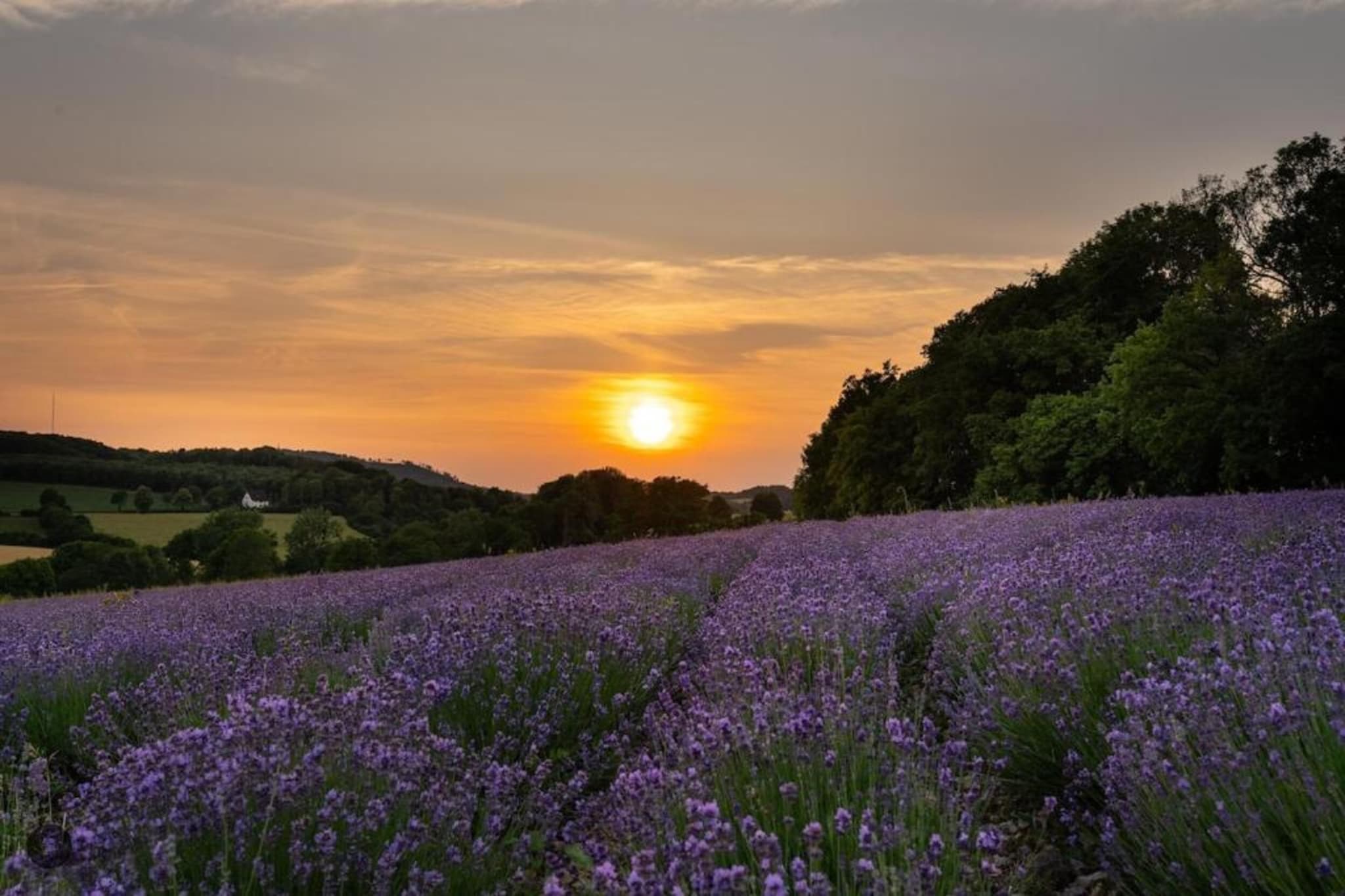 Nieheim-Areas summer 20km