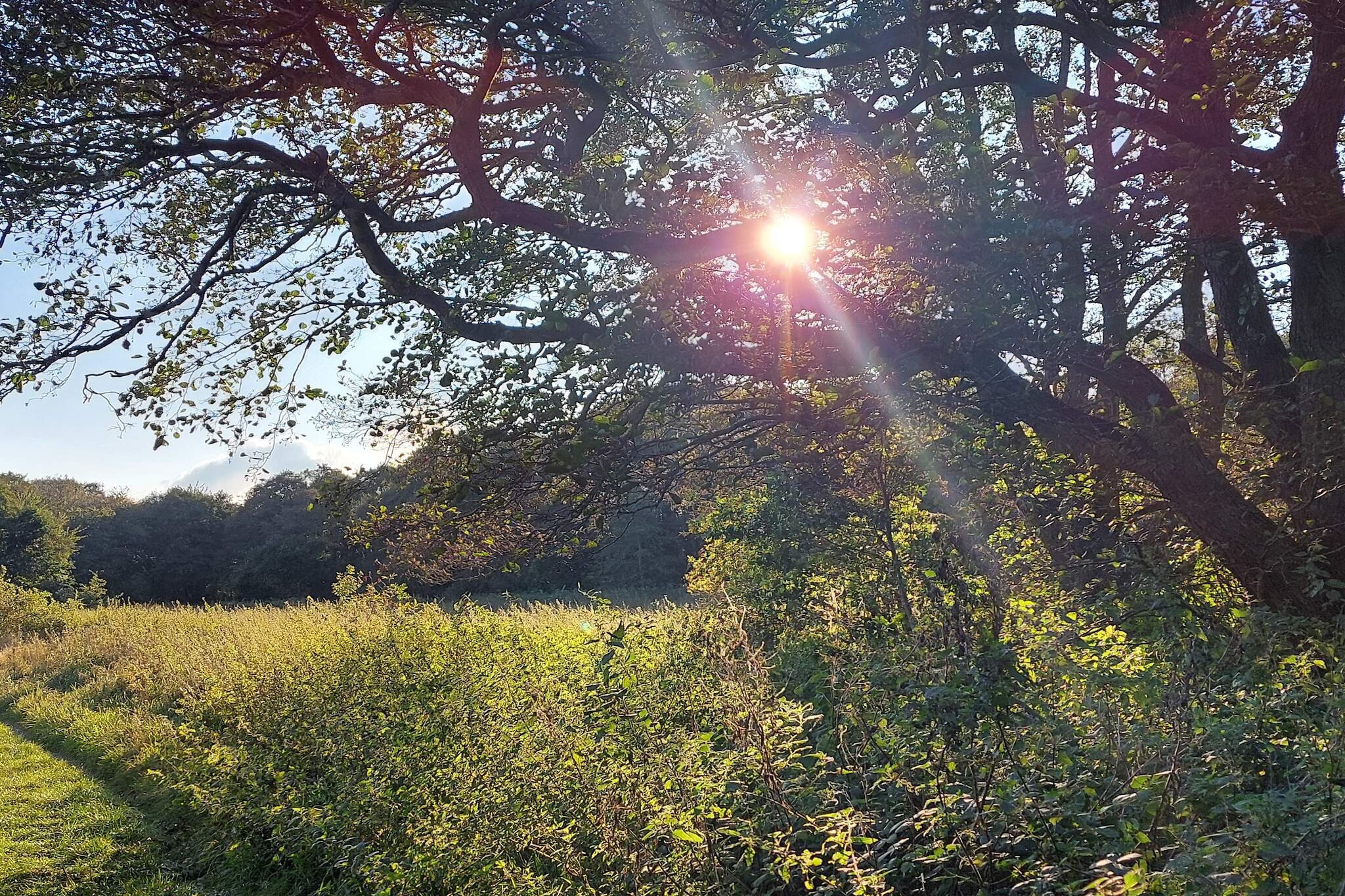 4 persoons vakantie huis in Ebeltoft-Niet-getagd