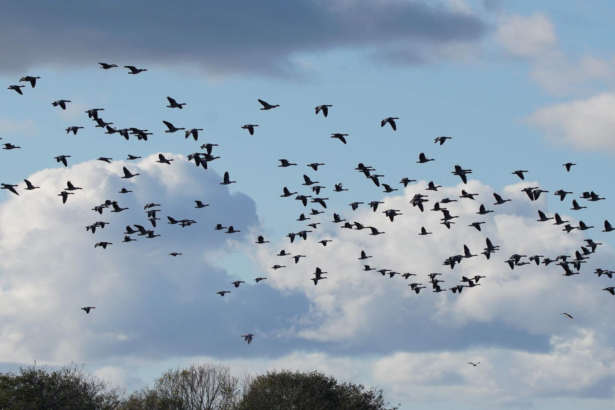 4 persoons vakantie huis in Ebeltoft-Niet-getagd