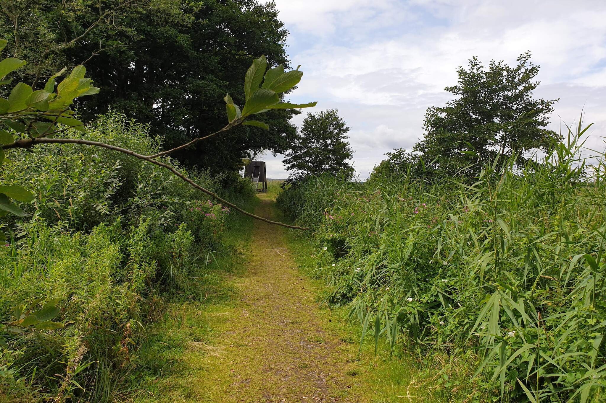 4 persoons vakantie huis in Ebeltoft-Niet-getagd