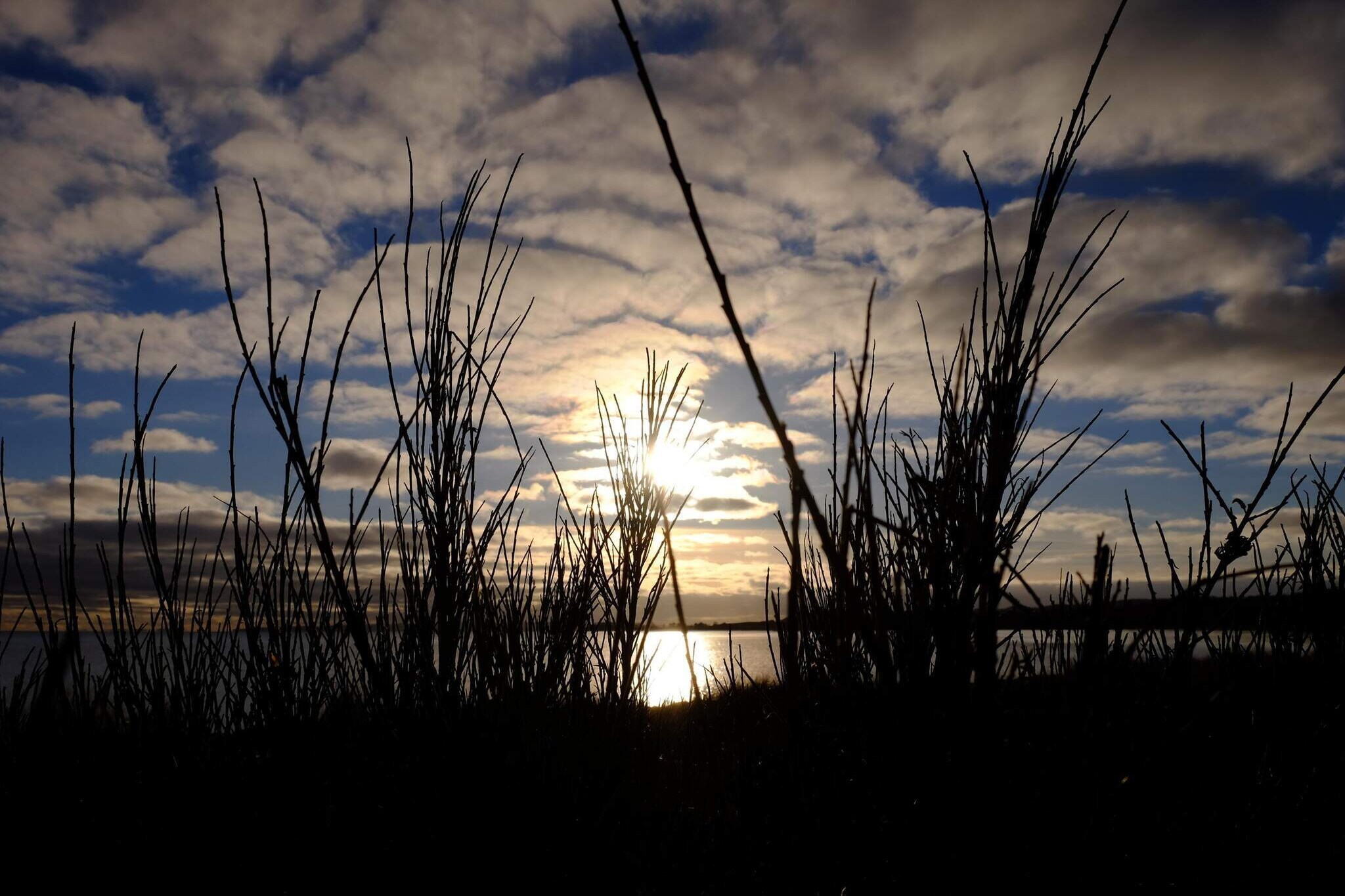 6 persoons vakantie huis in Ebeltoft-Waterzicht