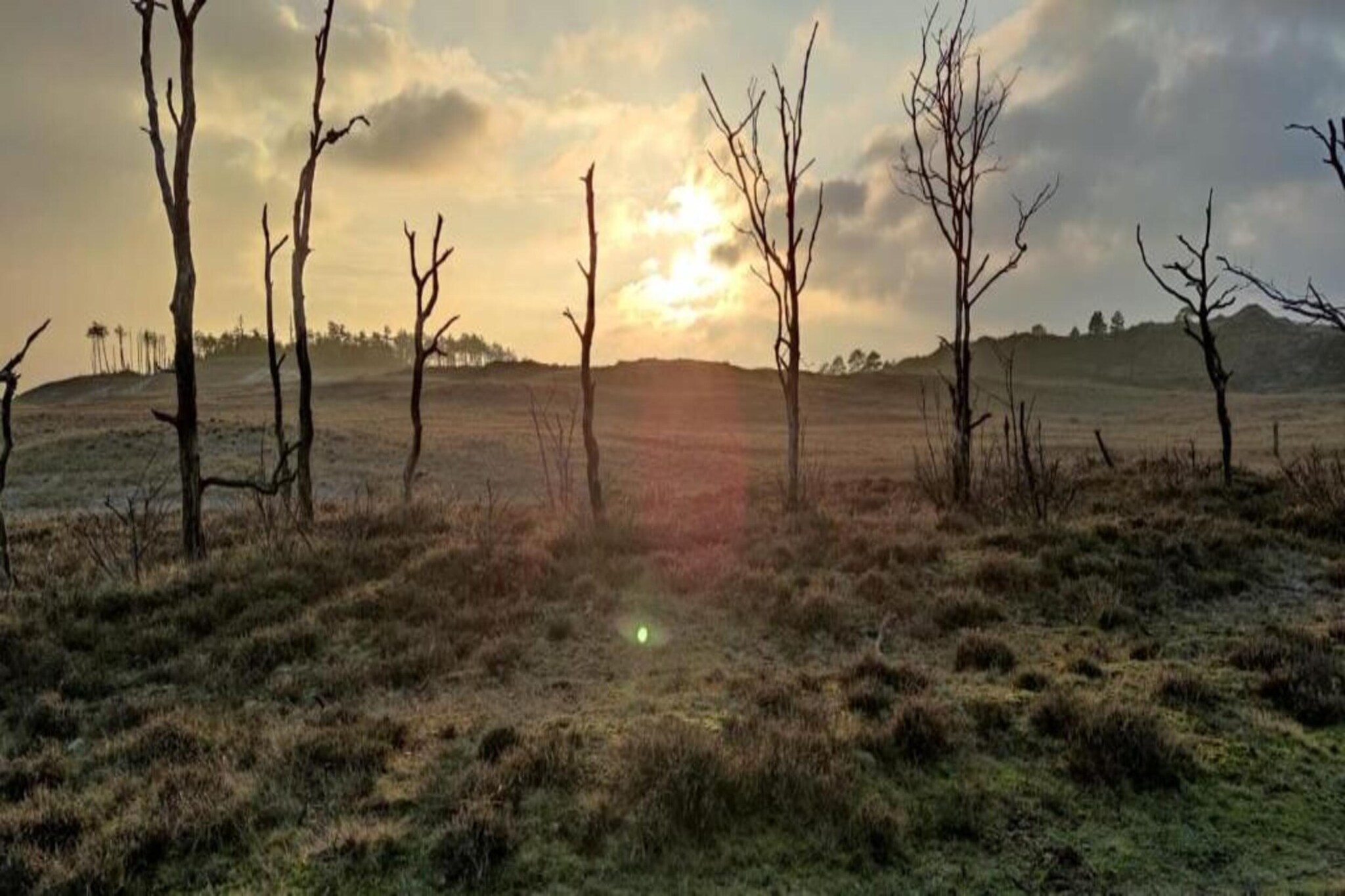 De Beukelaar 4 pers-Areas summer 20km