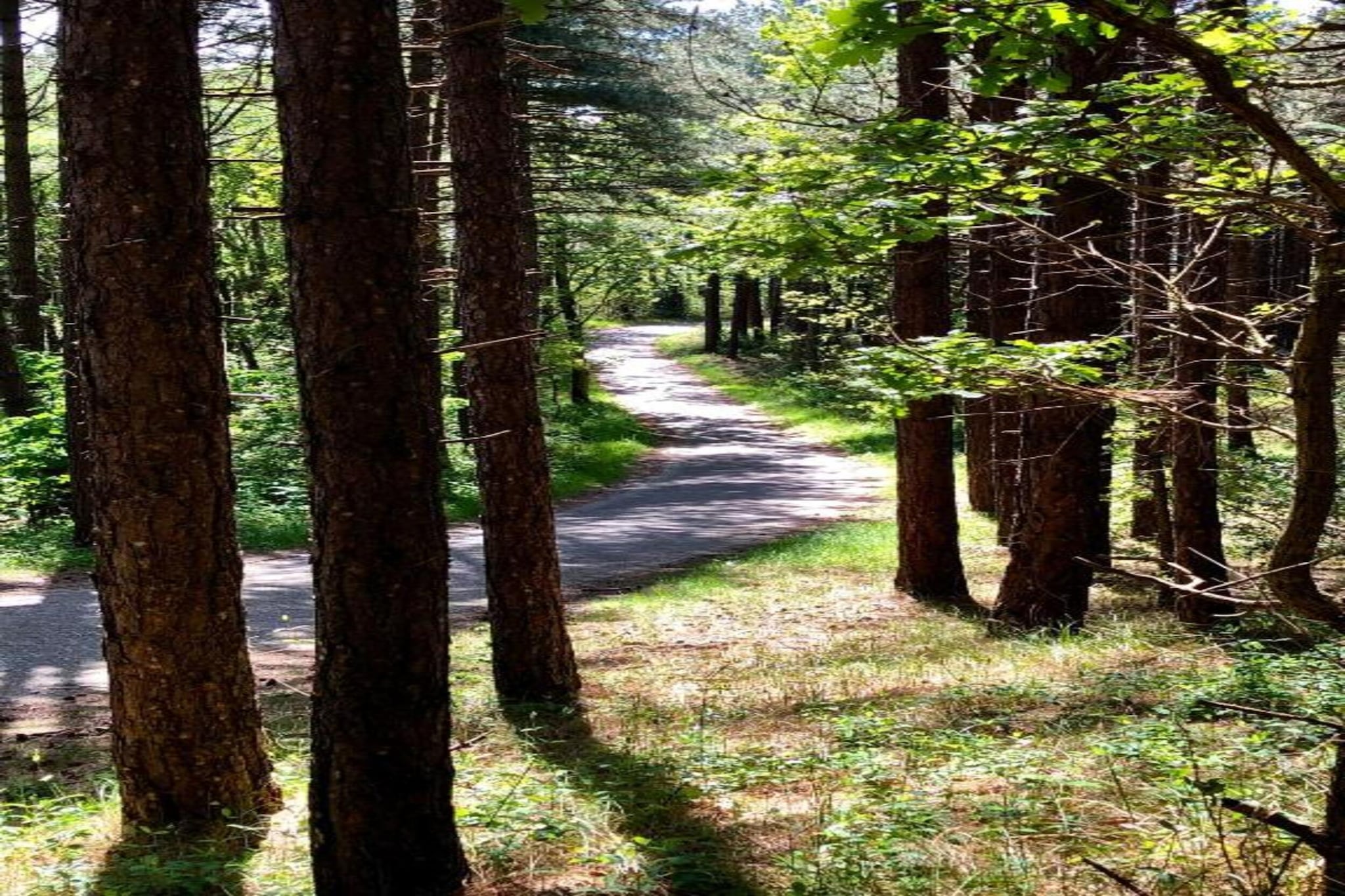 De Beukelaar 4 pers-Areas summer 20km
