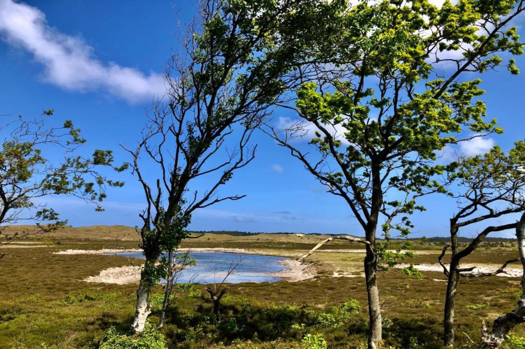 De Beukelaar 4 pers-Areas summer 20km