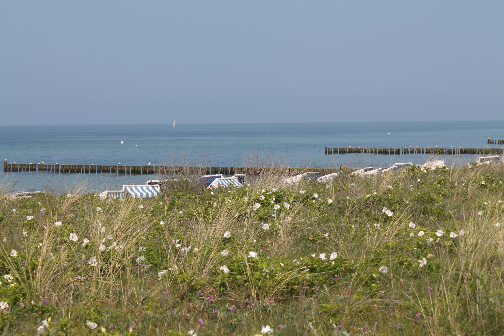Blockhaus Zum Strande-Gebieden zomer 20km