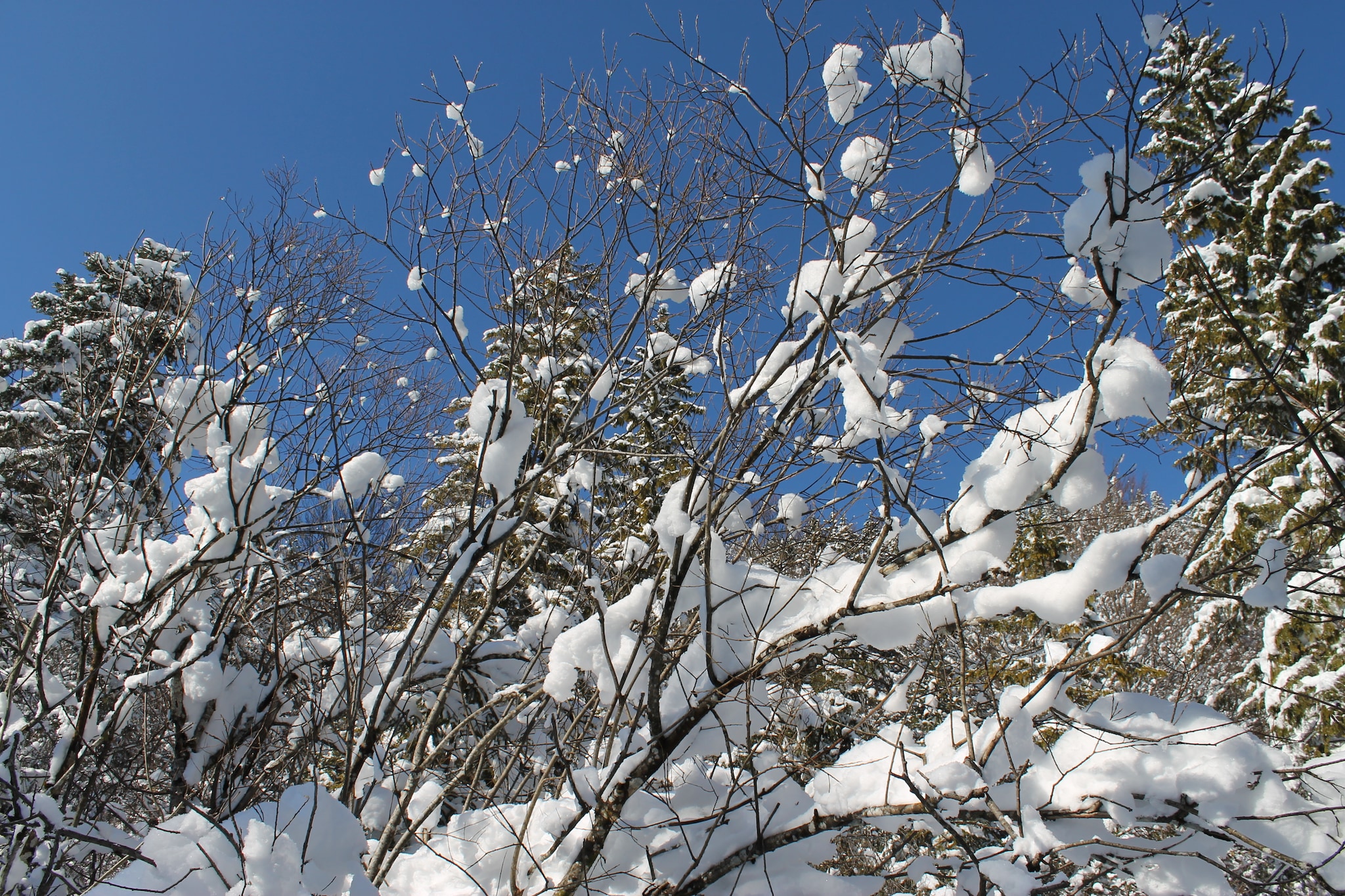 Blockhaus Zum Strande-Uitzicht winter