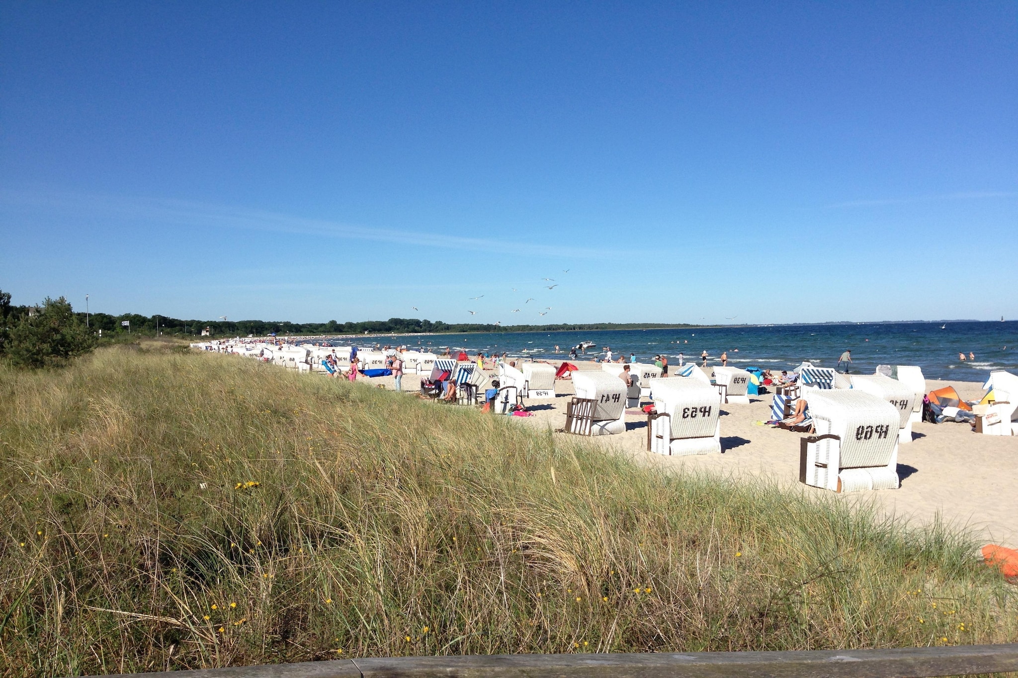 Störtebeker-Gebiete Sommer 5 km