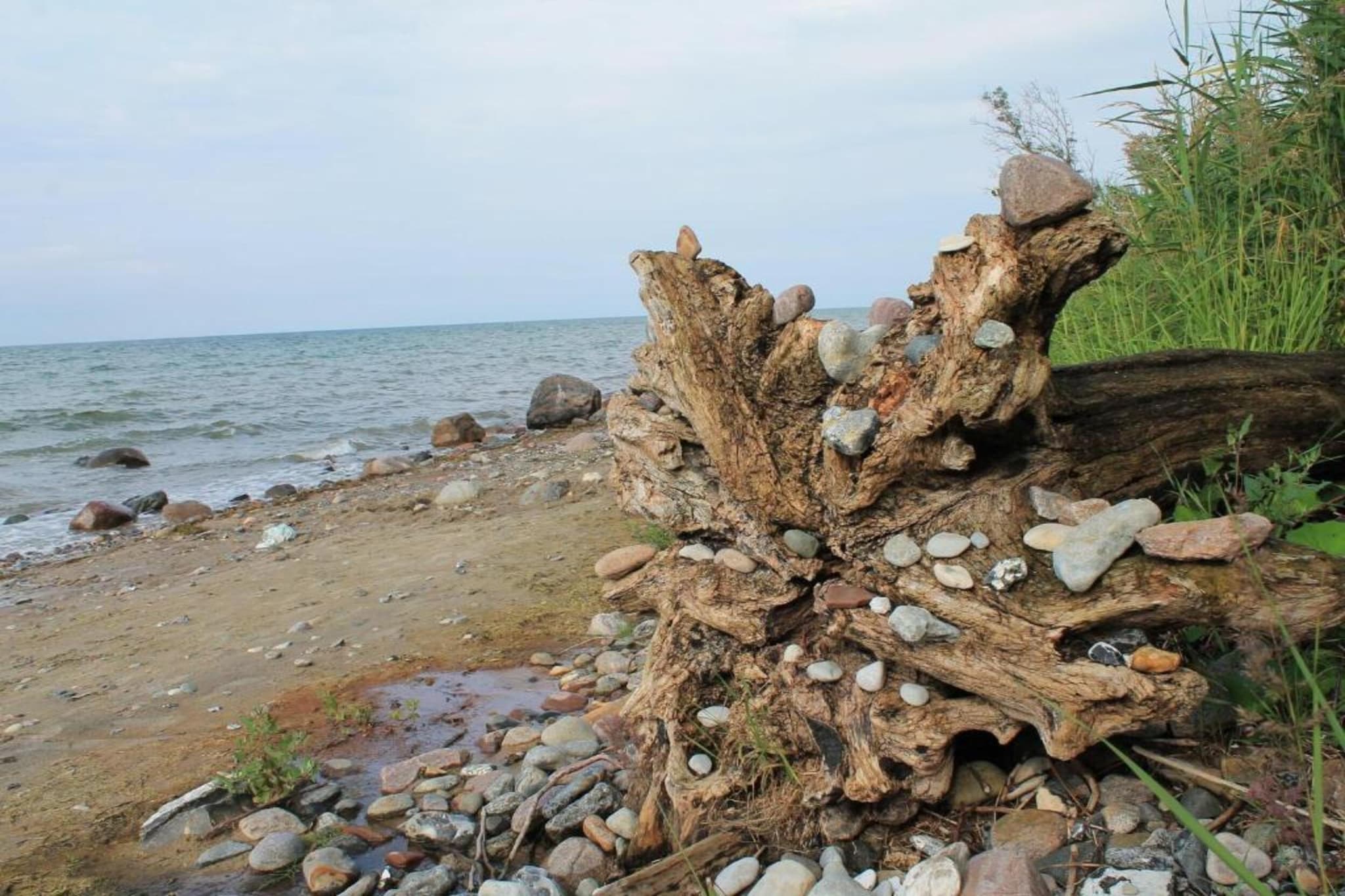 Ferien an der Ostsee-Gebieden zomer 5km