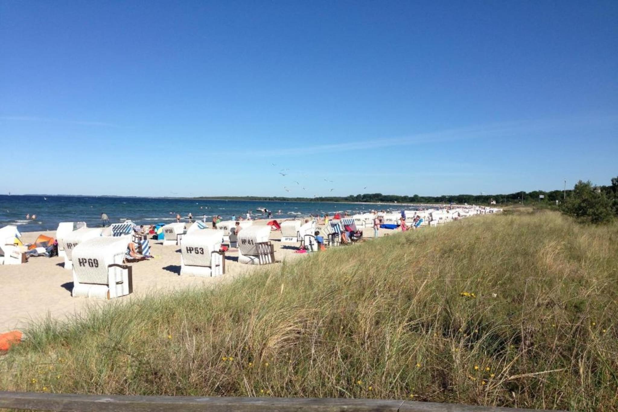 Ferien an der Ostsee-Gebieden zomer 5km