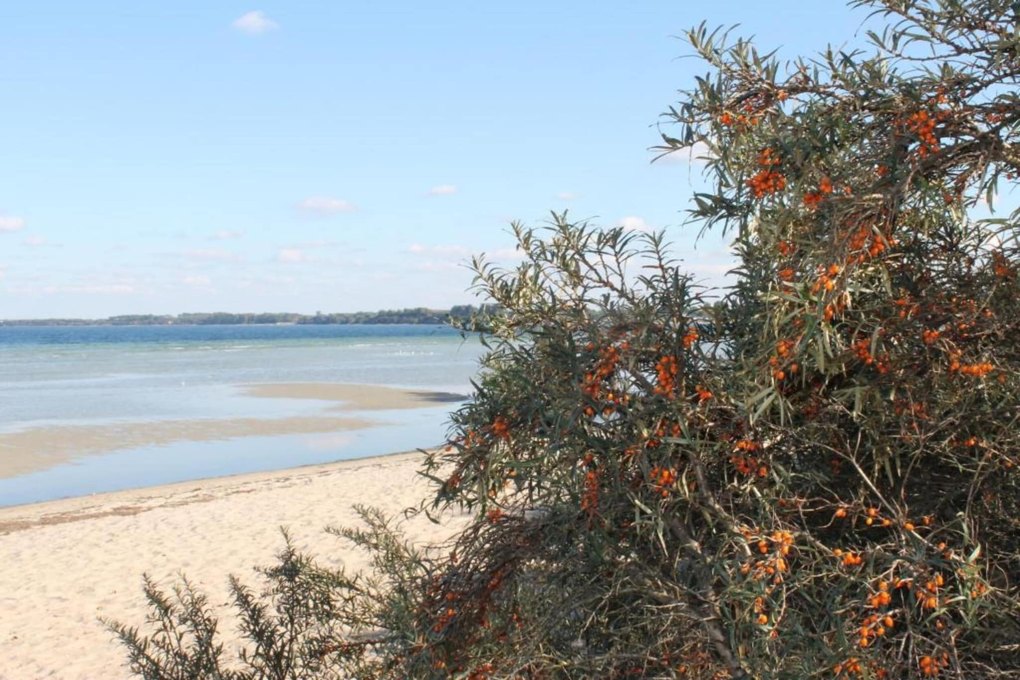 Ferien an der Ostsee-Gebieden zomer 5km