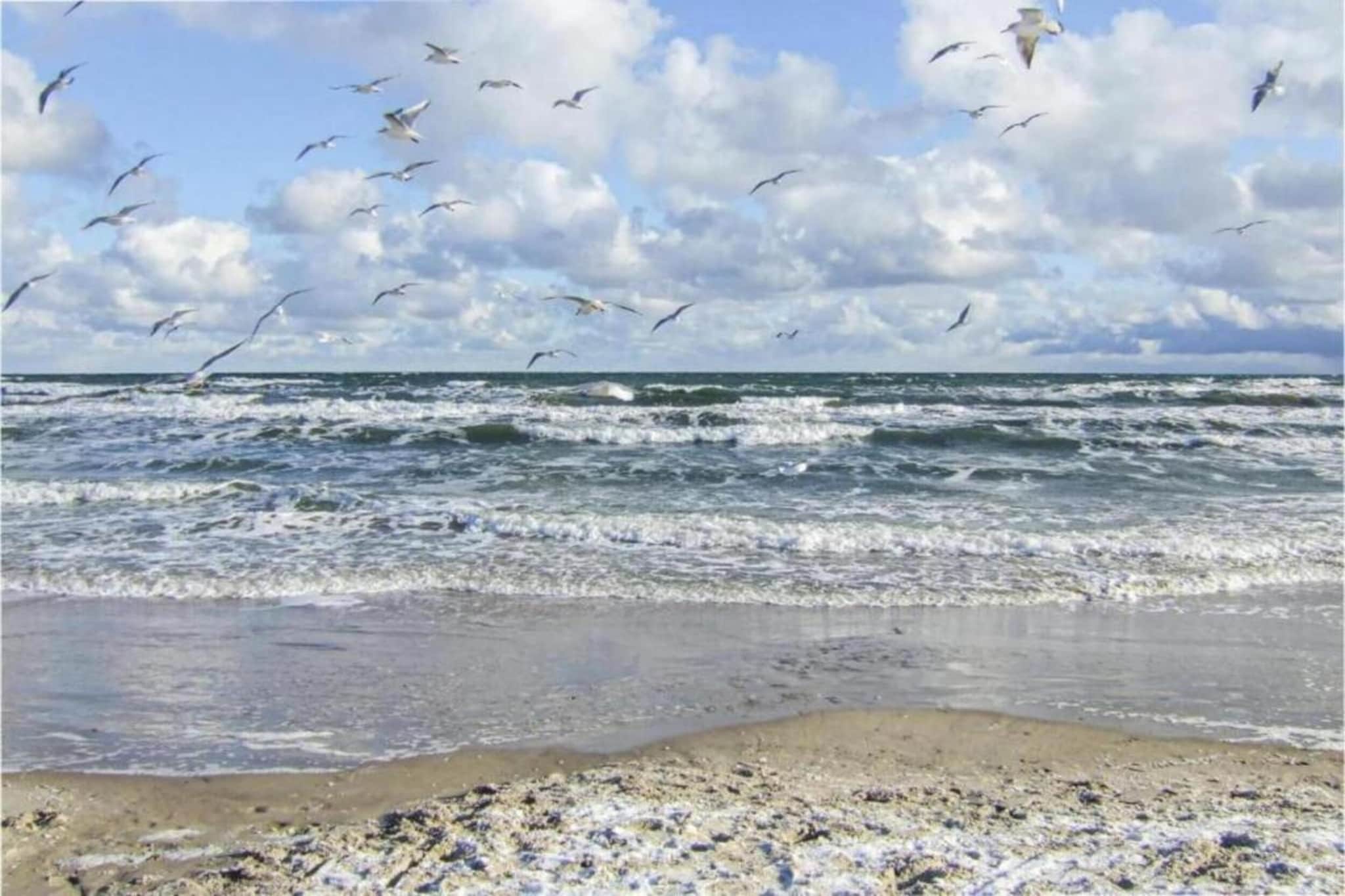 Ferien an der Ostsee-Gebieden zomer 5km