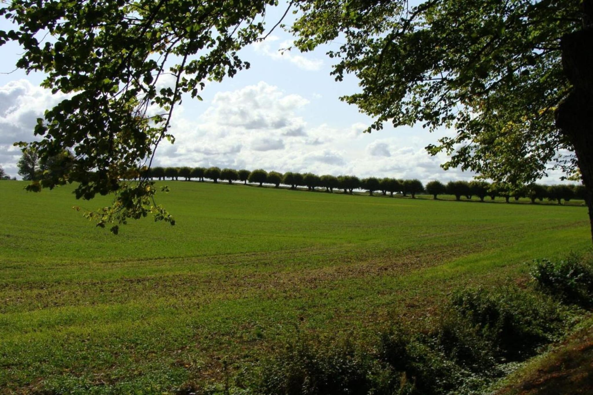 An der Bamburg-Gebieden zomer 20km