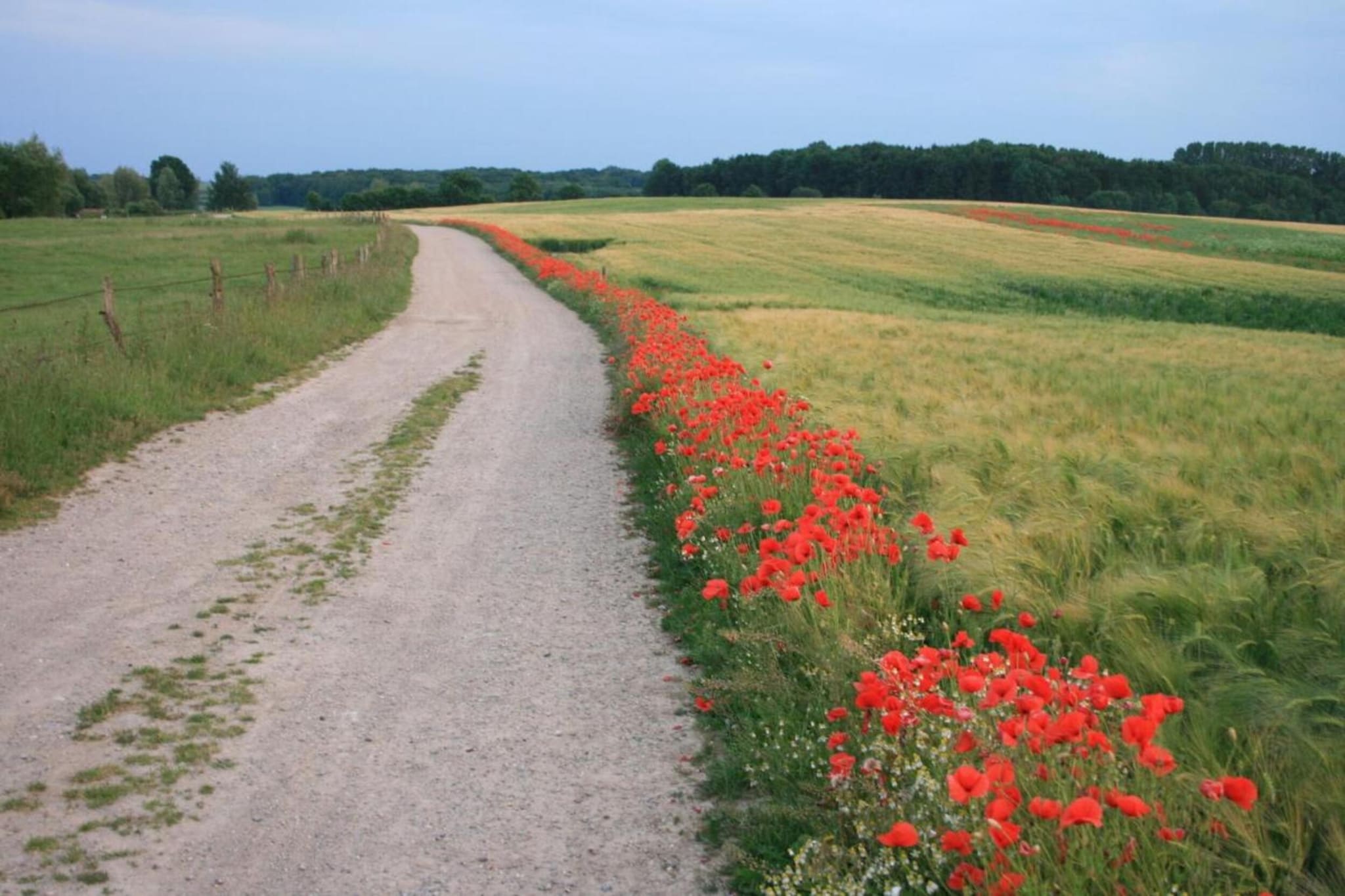 An der Bamburg-Gebieden zomer 20km