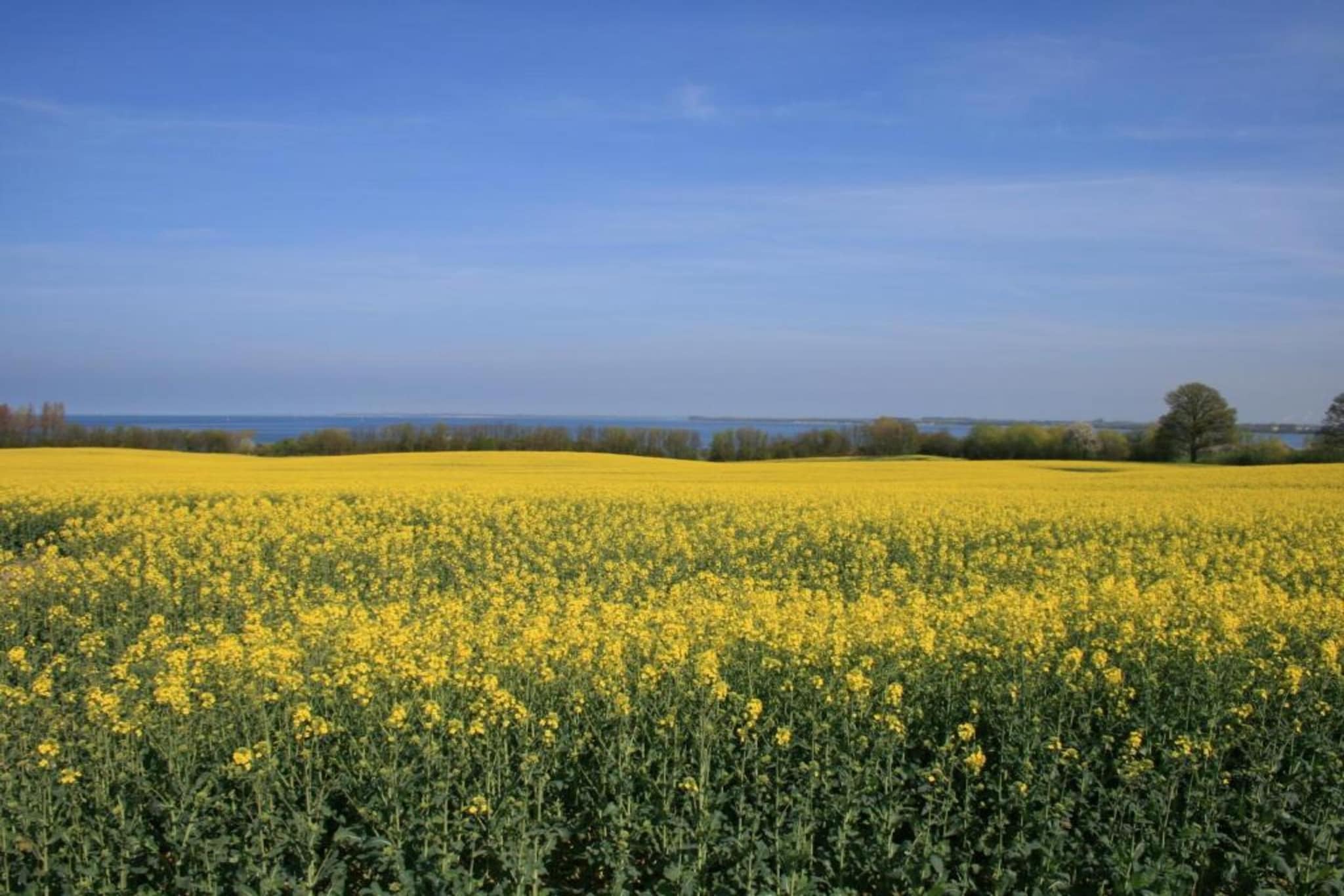 An der Bamburg-Gebieden zomer 20km