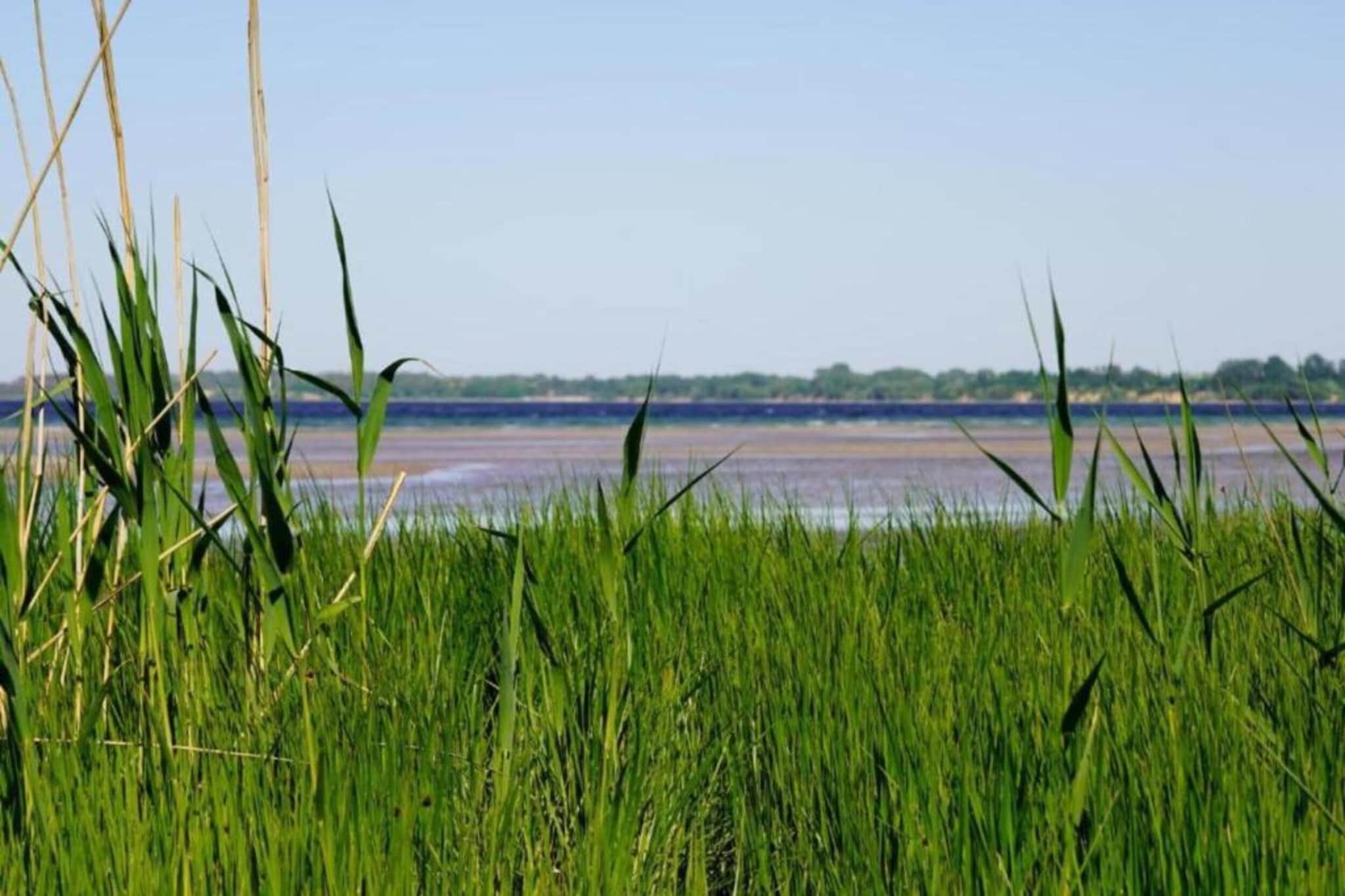 An der Bamburg-Gebieden zomer 5km