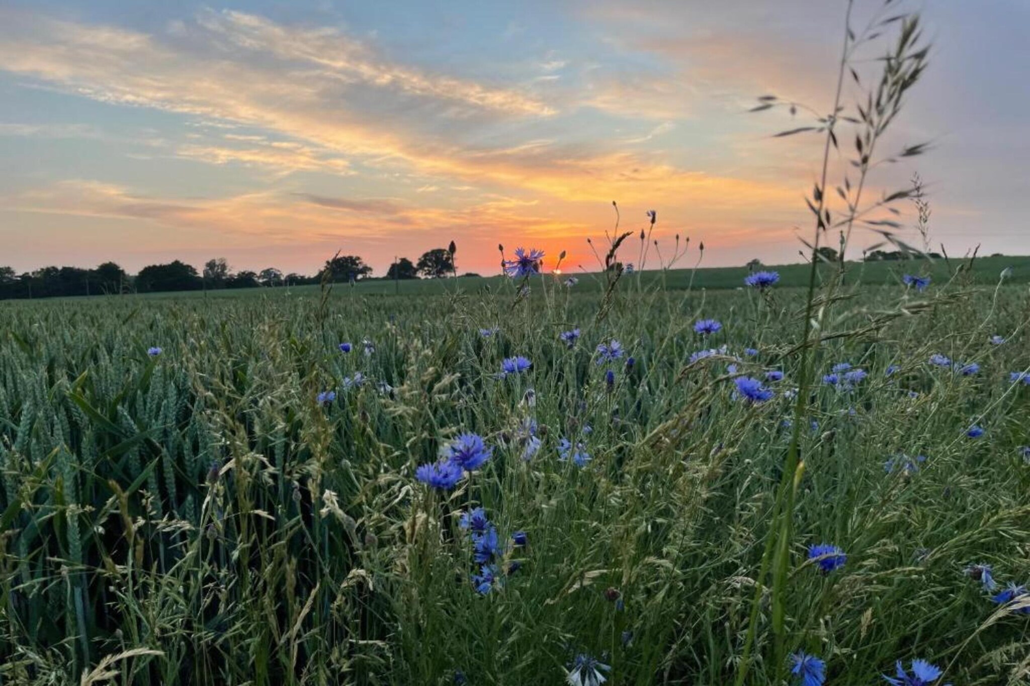 Salzhaff-Finka Pepelow Campingplatz für Surfer-Gebieden zomer 20km