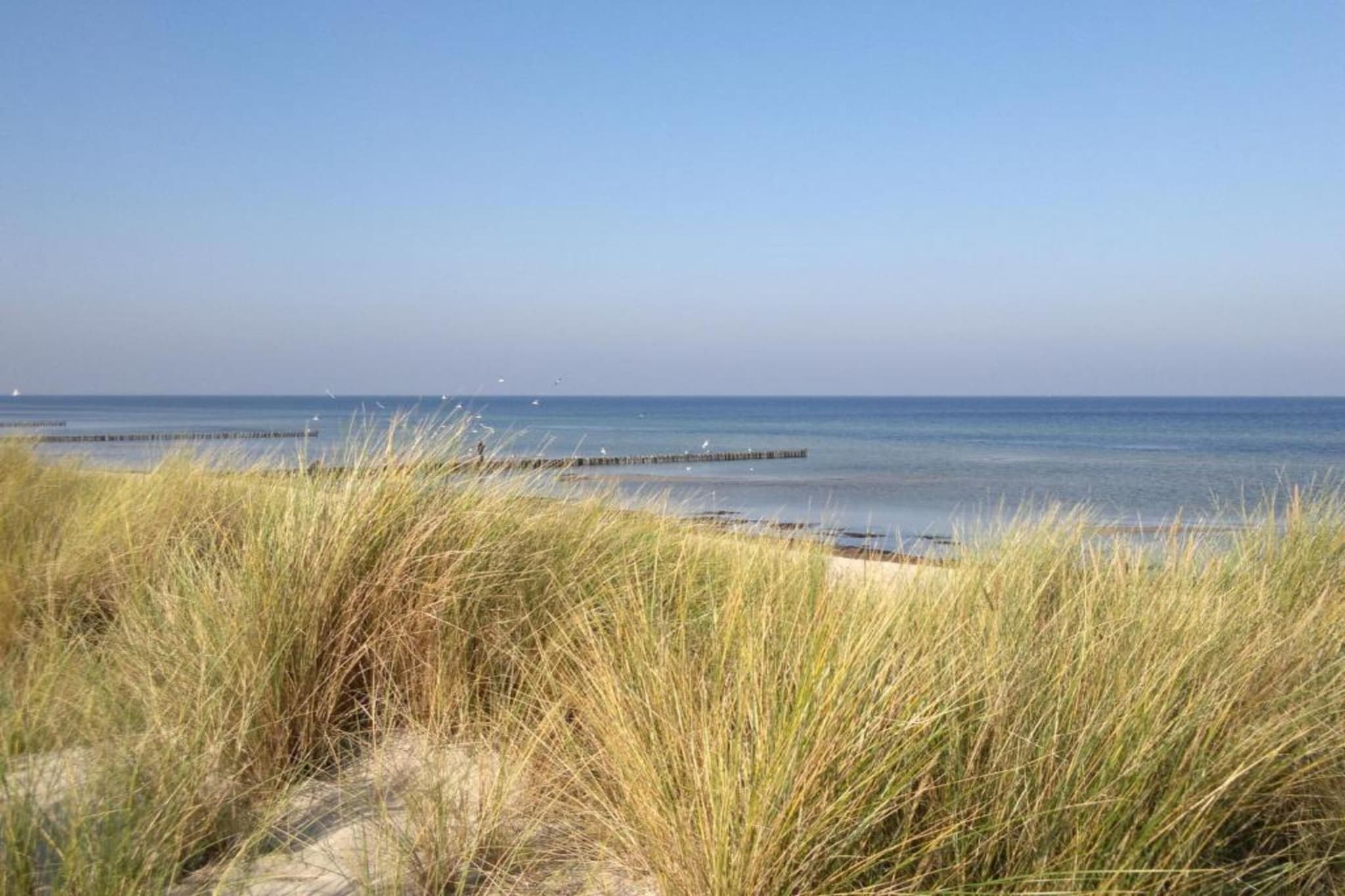 Landurlaub nahe Insel Poel-Gebieden zomer 20km