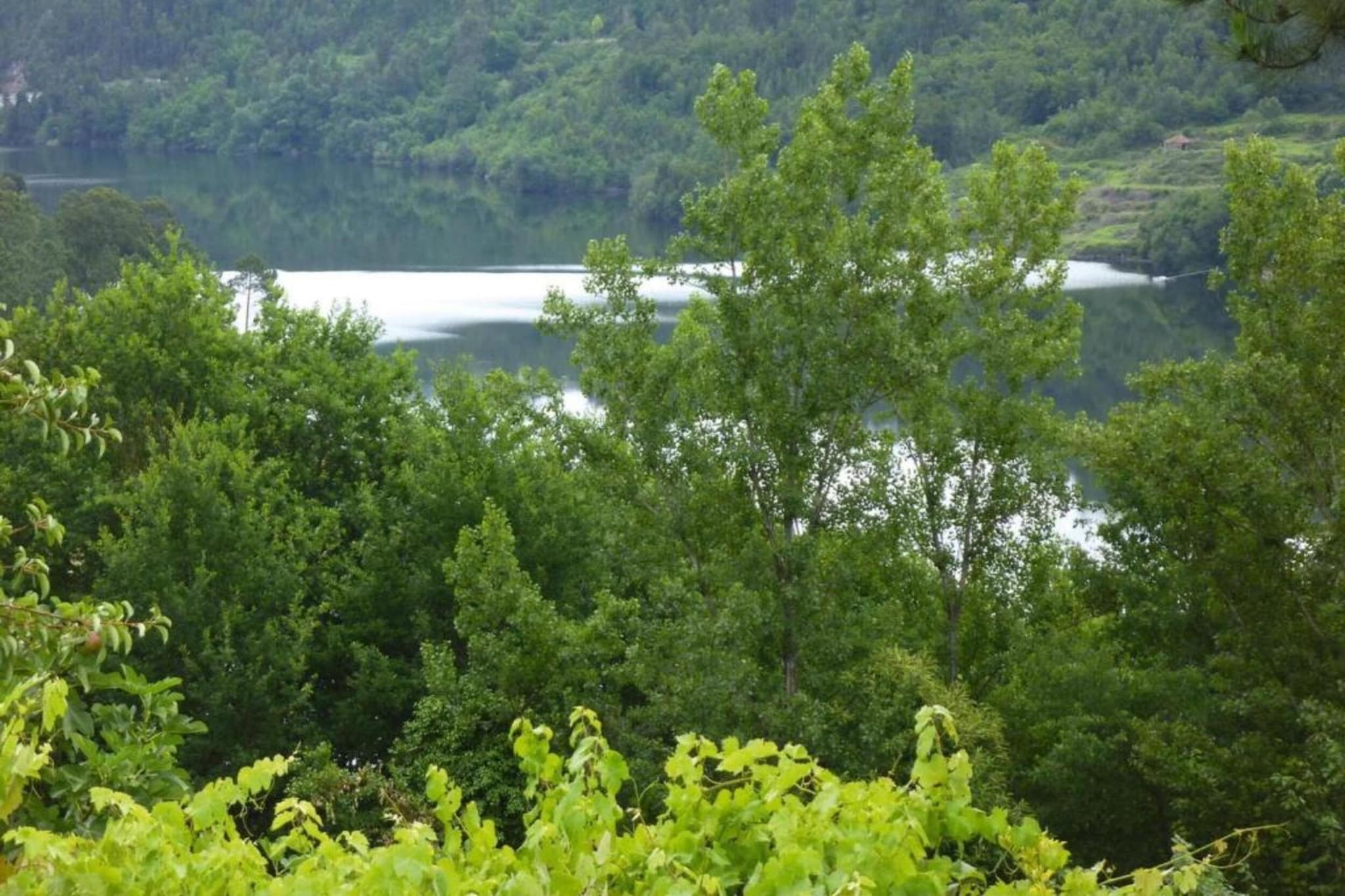 Casa das Laranjeiras-Areas summer 5km