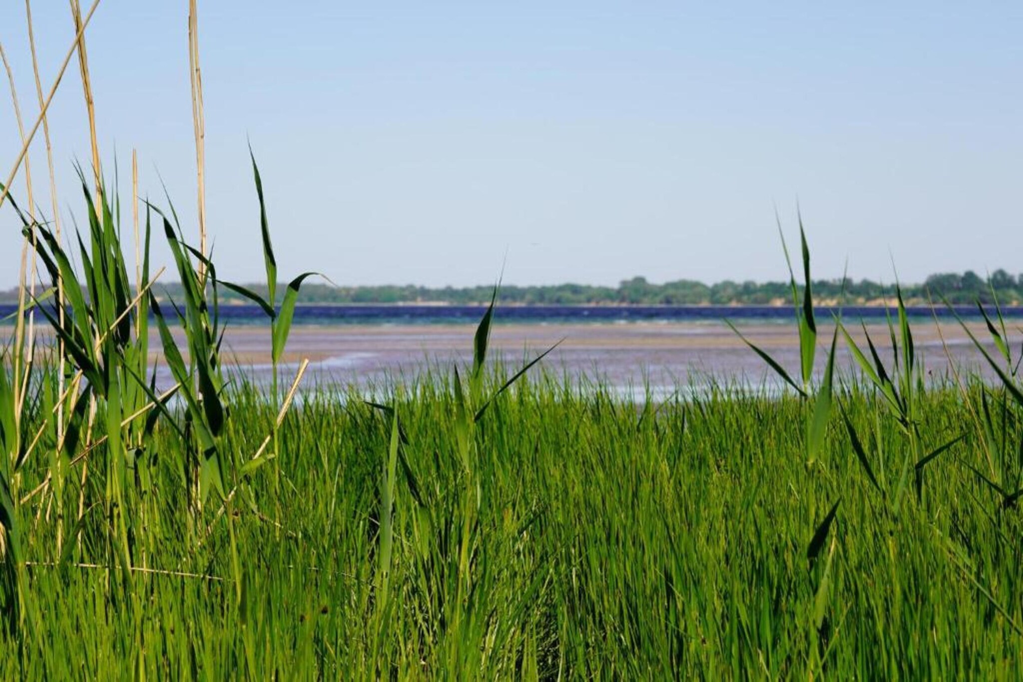 Im Lindenring-Gebieden zomer 5km