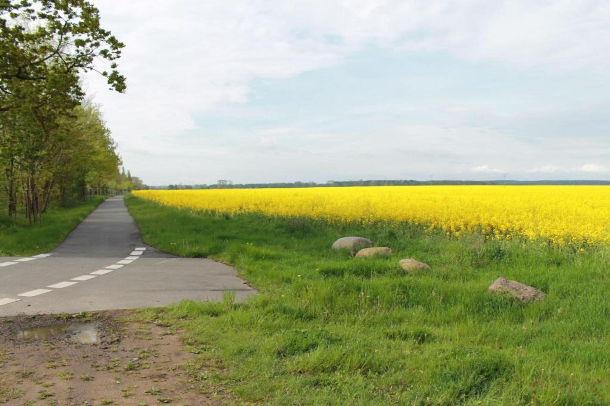 Im schönen Klützer Winkel-Gebieden zomer 5km