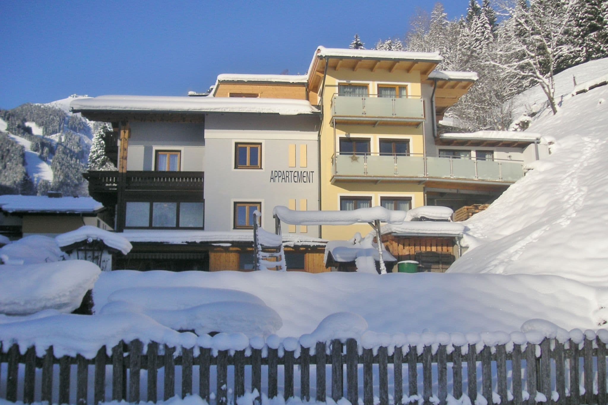 Appartement bij het skigebied