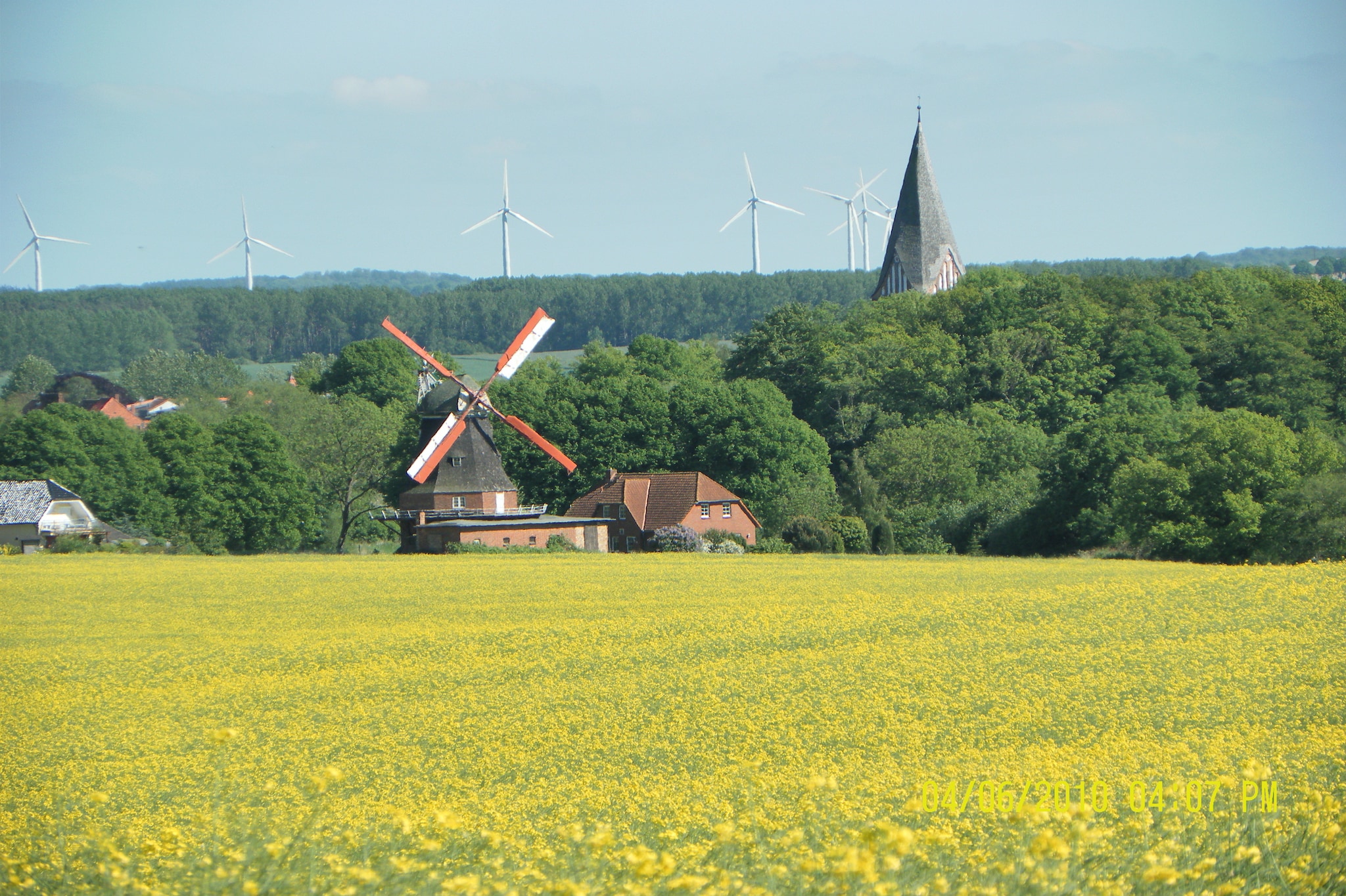 Sommerrose-Gebieden zomer 1km