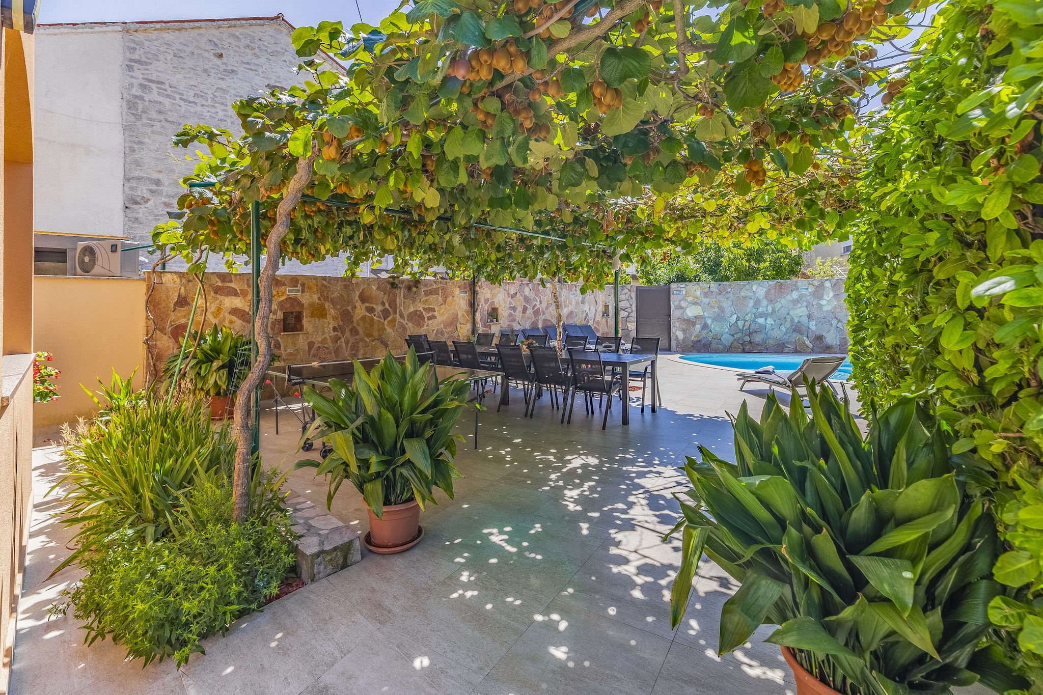 Villa Mimoza-Gardens summer