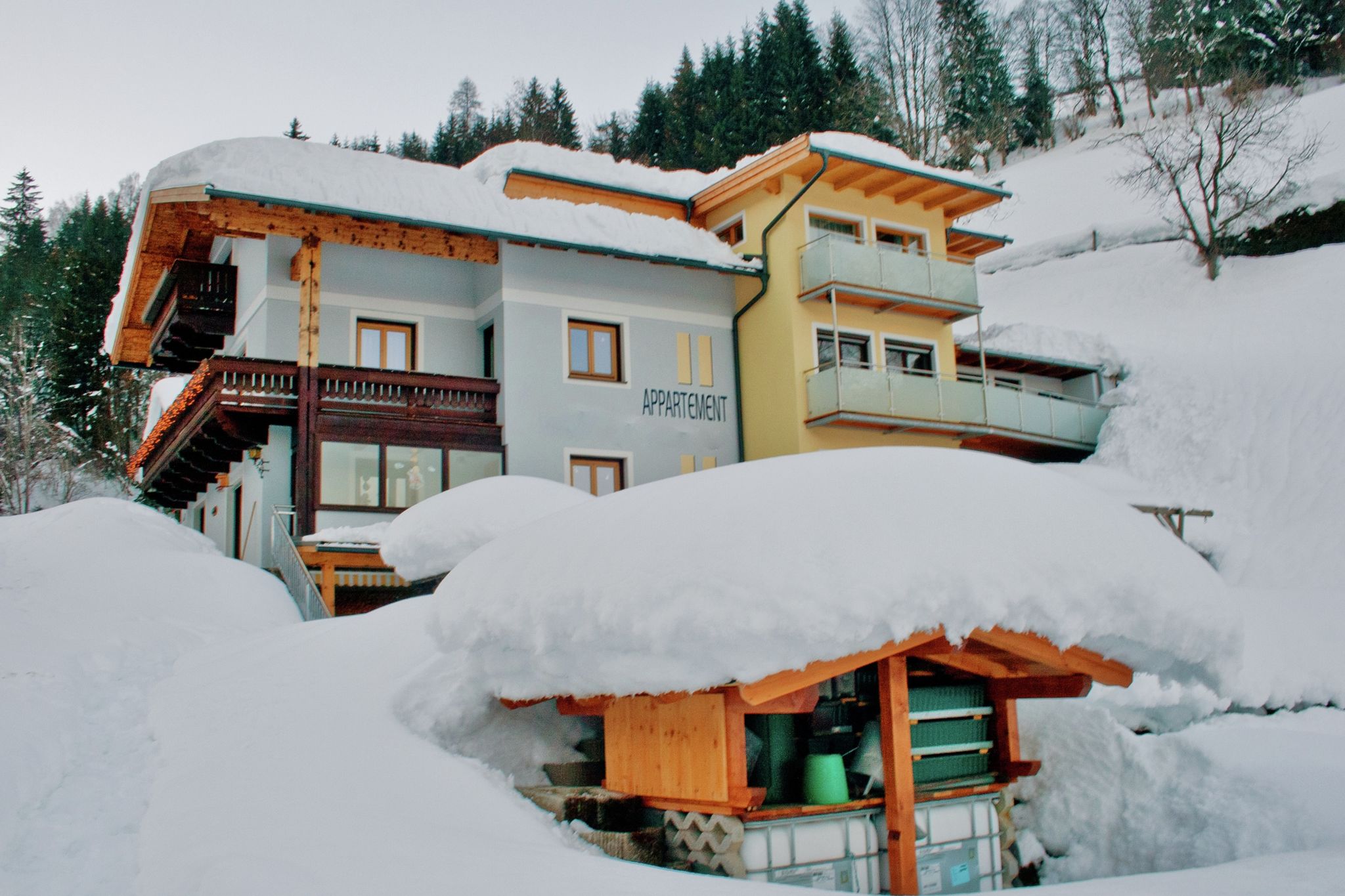 Appartement à Zell Am Voir près du domaine skiable