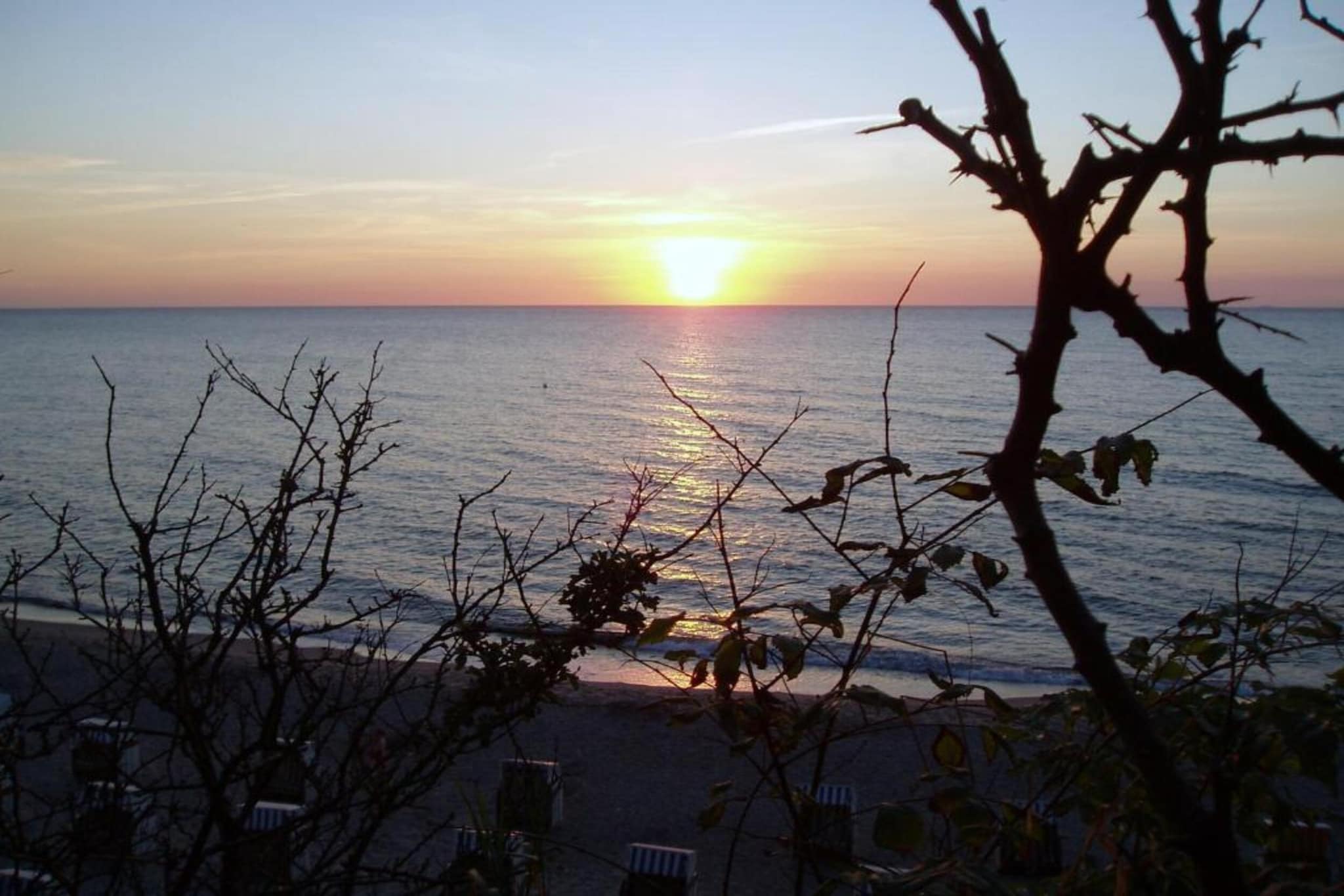 Ferienwohnung Möwe - viele Kinder-Extras strandnaher Urlaub Ostseebad Rerik-Gebieden zomer 5km