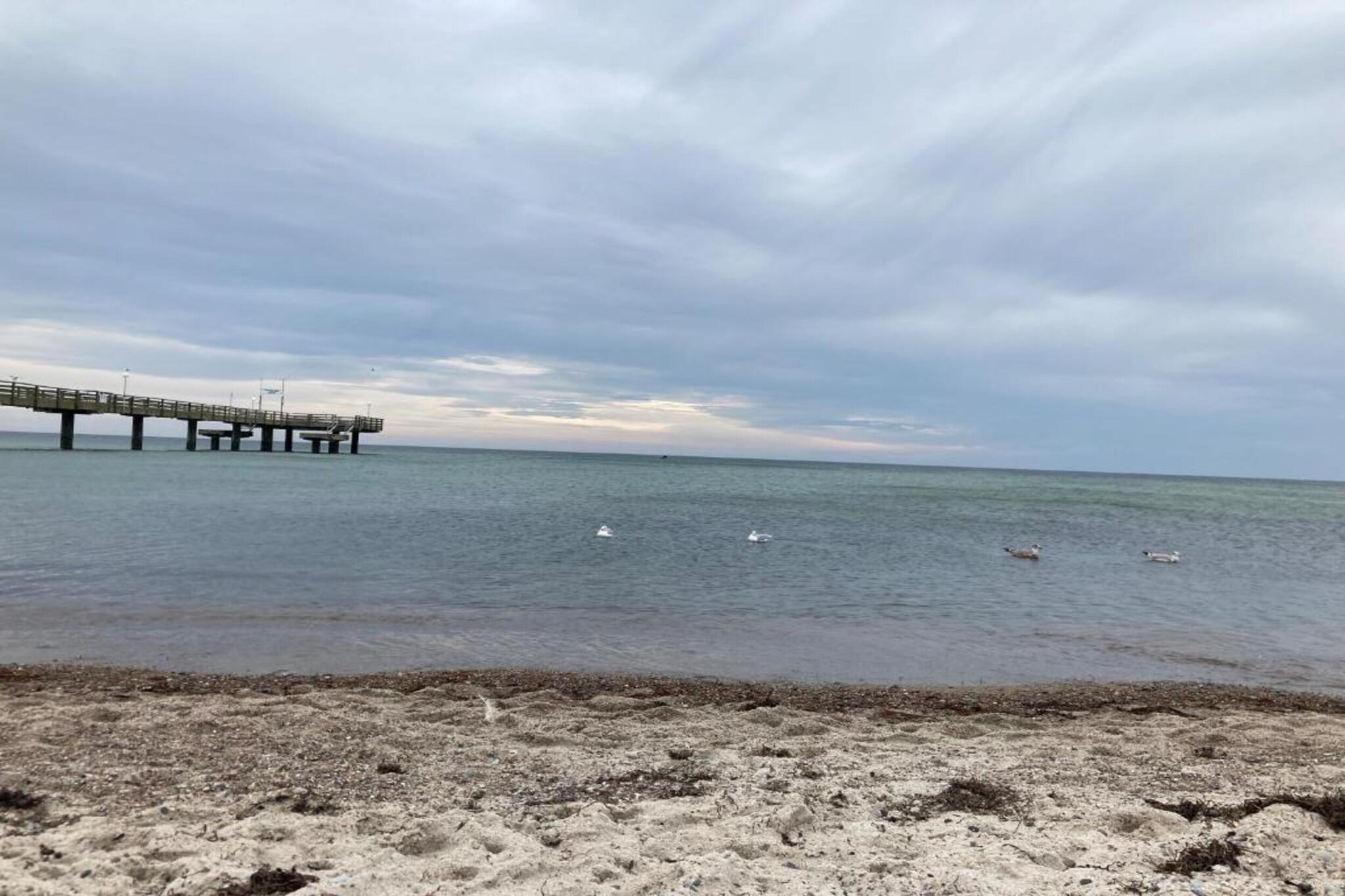 Ferienwohnung Möwe - viele Kinder-Extras strandnaher Urlaub Ostseebad Rerik-Gebieden zomer 5km
