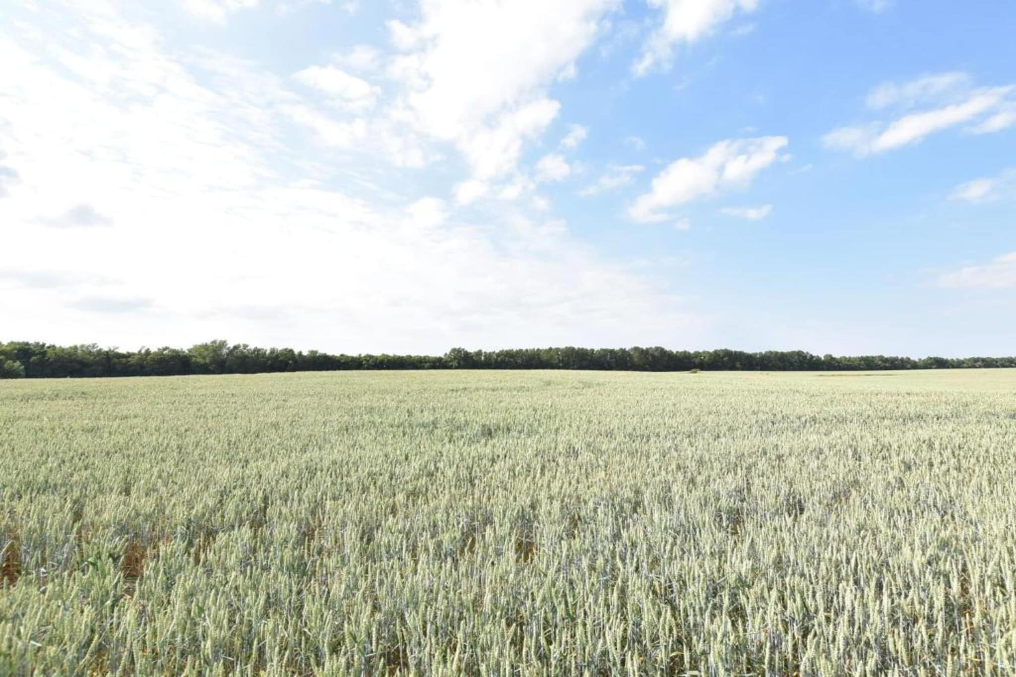 Ferienwohnung Alte Ziegelei-Gebieden zomer 5km