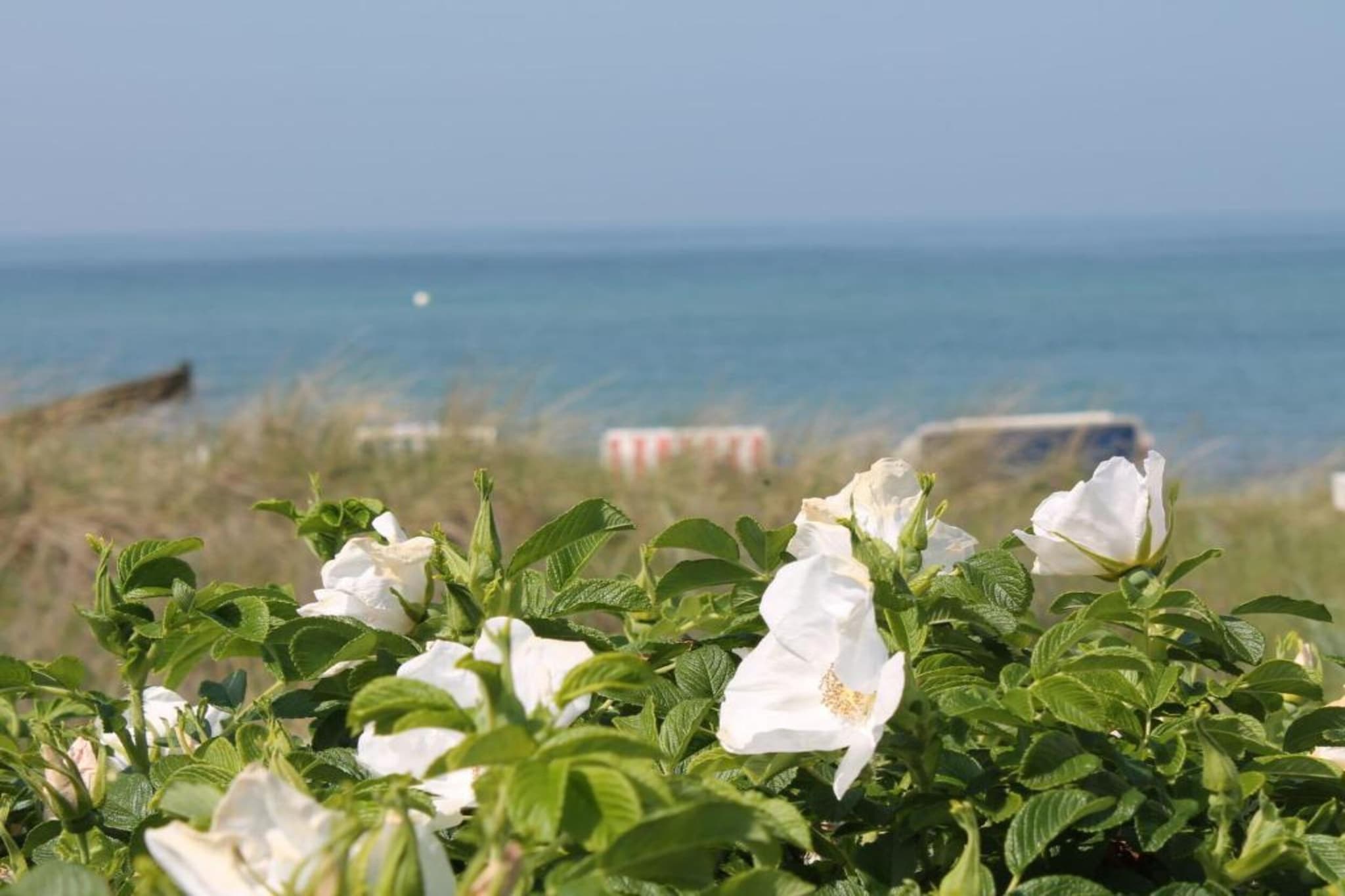 Romantische Ferienwohnung an der Ostsee mit Garten-Gebieden zomer 20km