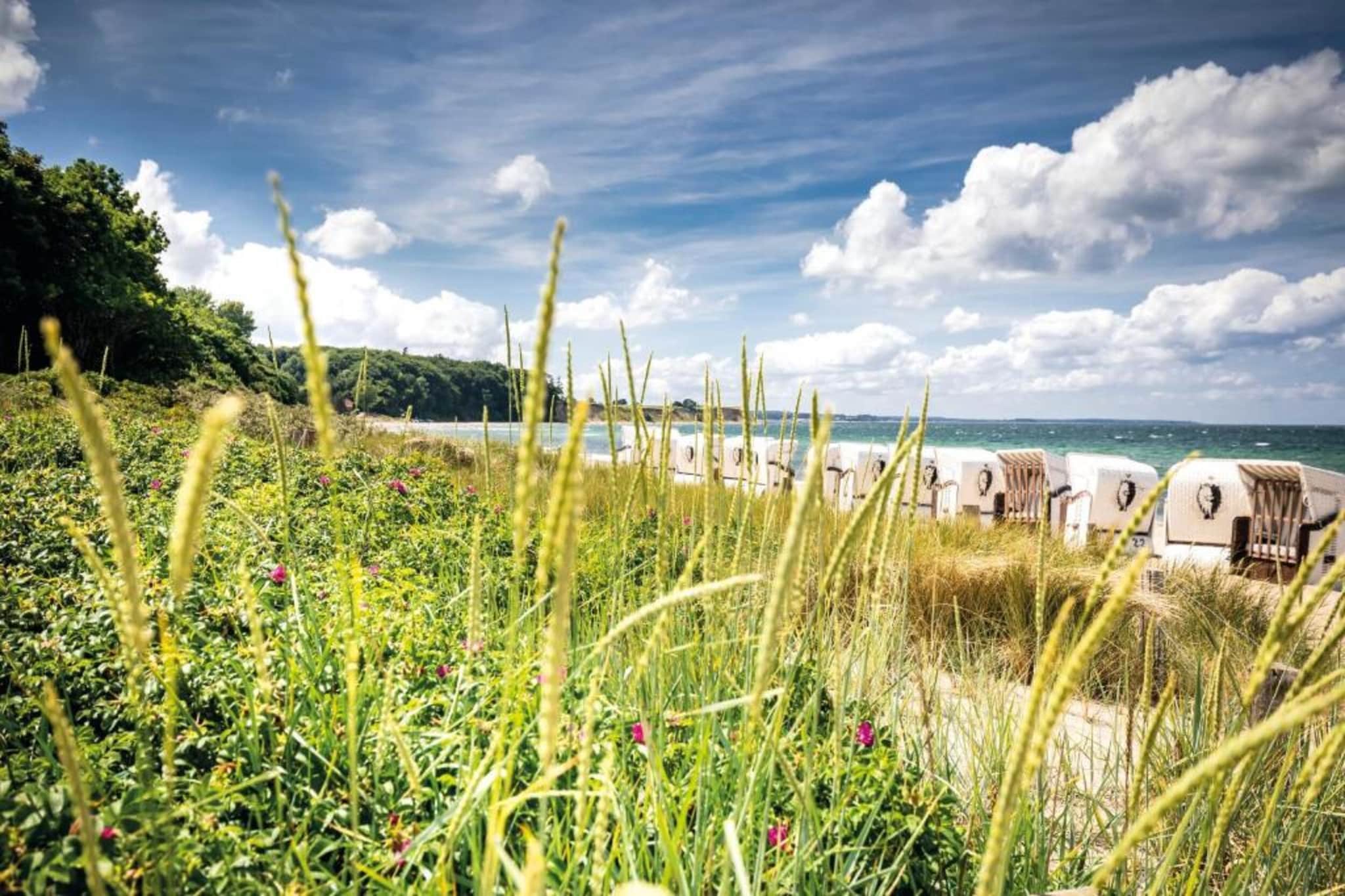 Ferienwohnung Eva mit Meerblick - strandnah-Gebieden zomer 20km
