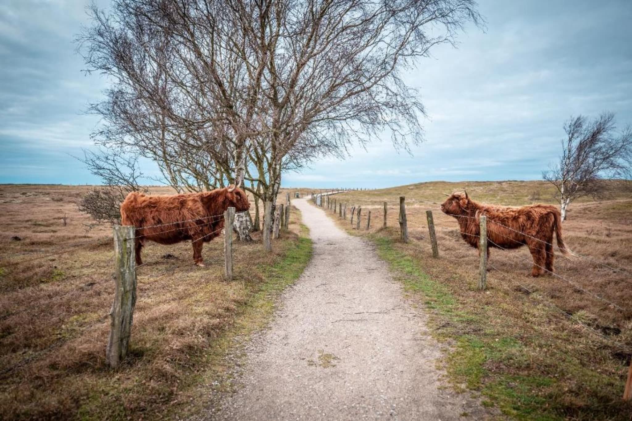 Ferienwohnung Eva mit Meerblick - strandnah-Gebieden zomer 20km
