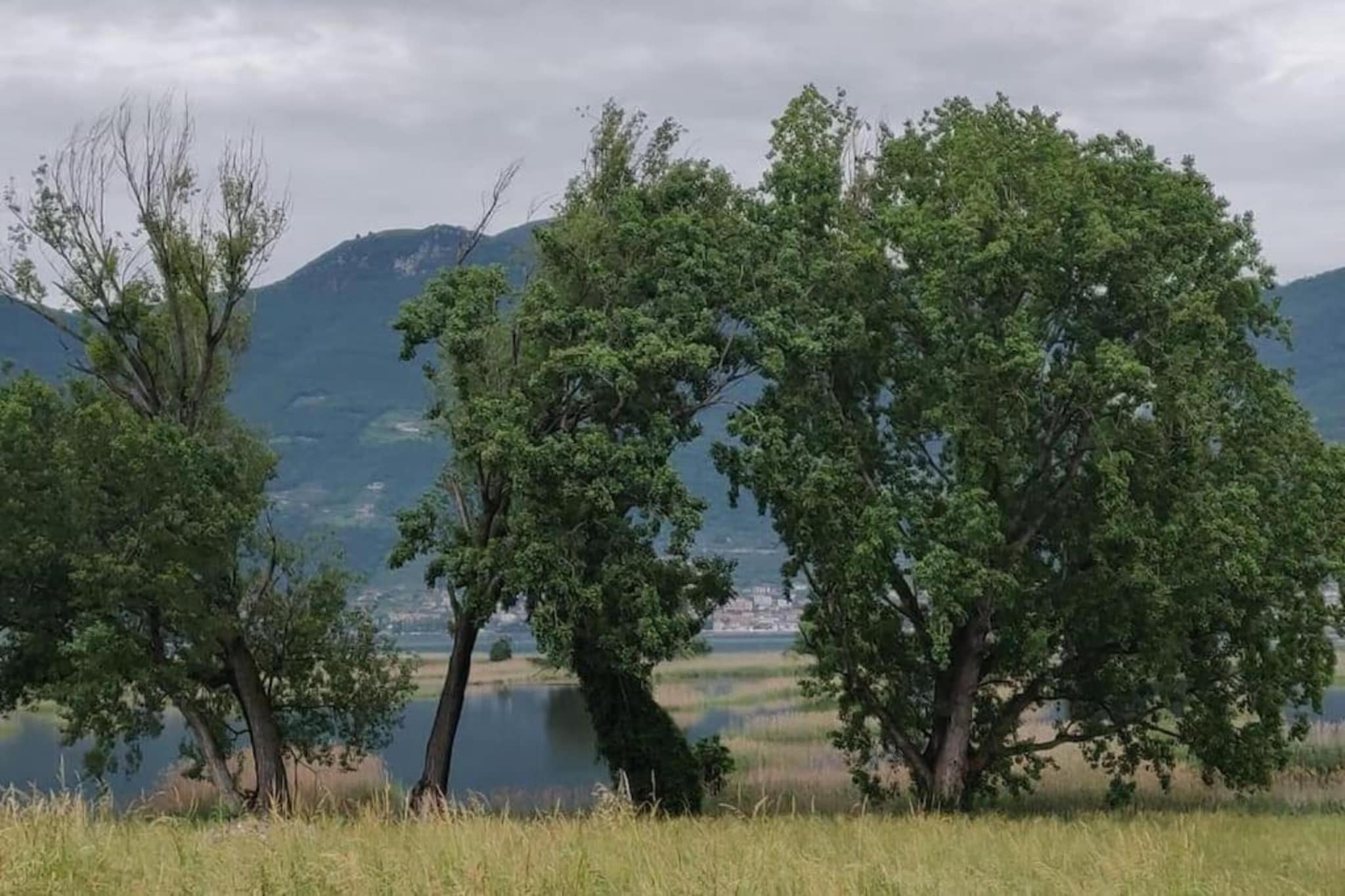 Casa dei Nonni-Gebieden zomer 20km