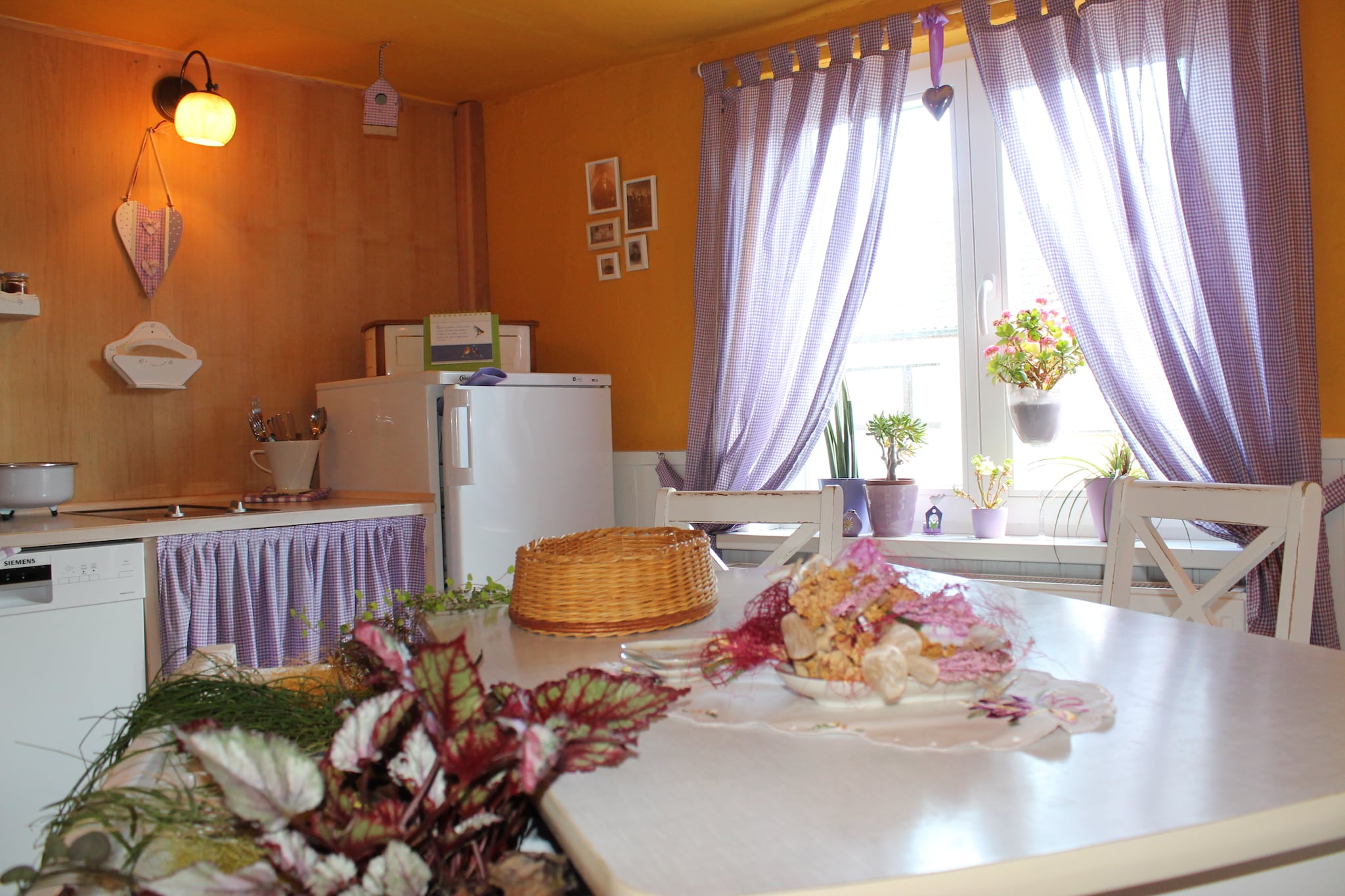 Wohnung mit Garten in Damgarten