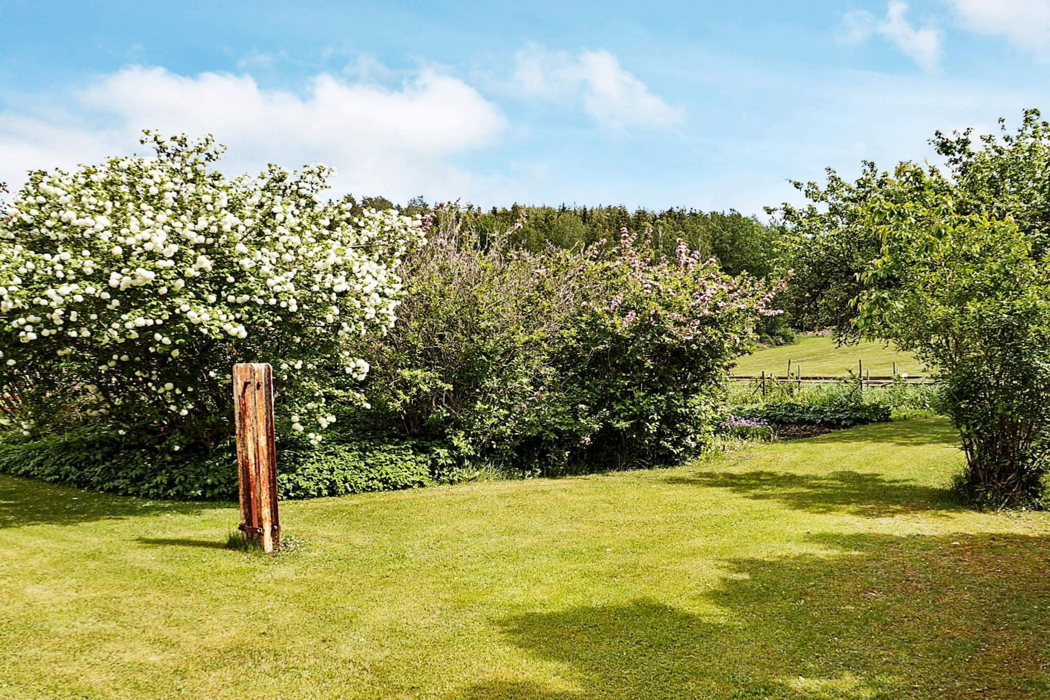 This spacious holiday home, set in the small village of Odensvi, was renovated in 2017. The floors are new, wooden floors. On the bottom floor, you will find two entrances, one of which has a veranda. The large kitchen features the necessary kitchen appliances. In the living room, you'll find a sofa and a flat-screen TV. The bathroom was built in 2017 and features a WC, a washbasin, and a shower. There's also one bedroom on the bottom floor, it is equipped with two single beds. On the second floor, you'll find two bedrooms, one with a double bed, the other with two single beds . Both bedrooms have a lot of wardrobe- and storage space. The spacious garden is all of 2000 square metres and has a lovely lawn and many fruit trees. The lake is only 600 metres from the house and this is where the boat is docked. Why not go fishing for pike and bass? You can buy a fishing permit in town. There's a public bathing area about five kilometres away, in Odensvi. It has a sandy beach, bathing docks, a bathing ladder, and shallow water. The sea is 18 kilometres away, a 20-minute drive through the scenic landscape of Småland, with it's beautiful forests and open landscapes. You have good chances of spotting elk, deer, and fox. The forests are rife with berries and mushrooms and there are a number of pretty lakes in the area. The closest grocery store is in Odensvi, five kilometres from the house. The picturesque town of Västervik offers a shopping centre and many different events in the summertime. It's 46 kilometres away. Vimmerby is only 35 kilometres away. The children will really enjoy Astrid Lindgren's World. Katthult and Bullerbyn, well known from Astrid Lindgren's beloved children's books, are also close. Or why not take a daytrip to Mariannelund and find out how sweets were made in the olden days? The Kingdom of Crystal, Glasriket, is another interesting destination. This is where the famous Kosta Boda glass is made. Welcome to beautiful Småland!