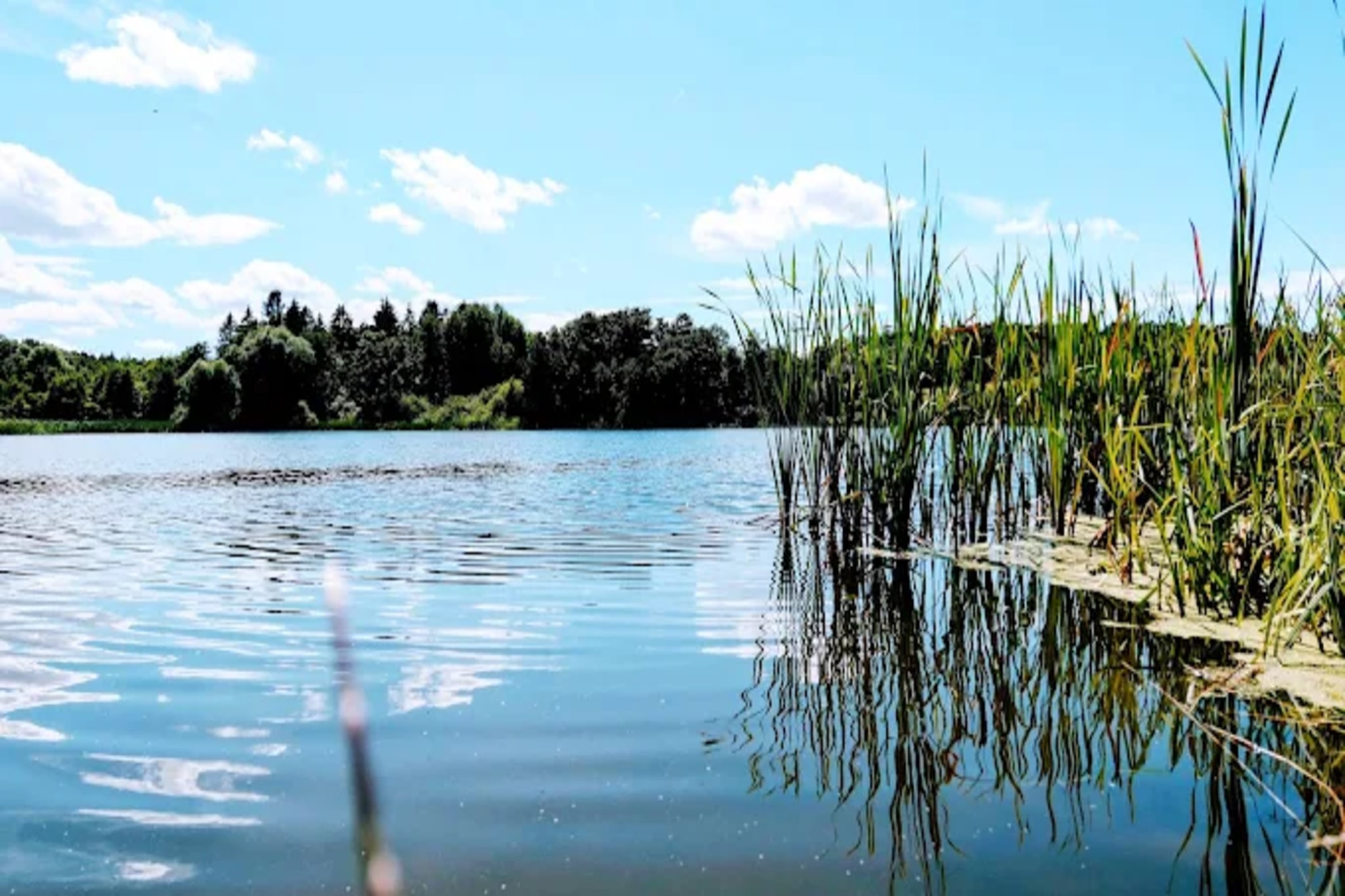 Ferienwohnung mit Feldblick-Gebieden zomer 5km