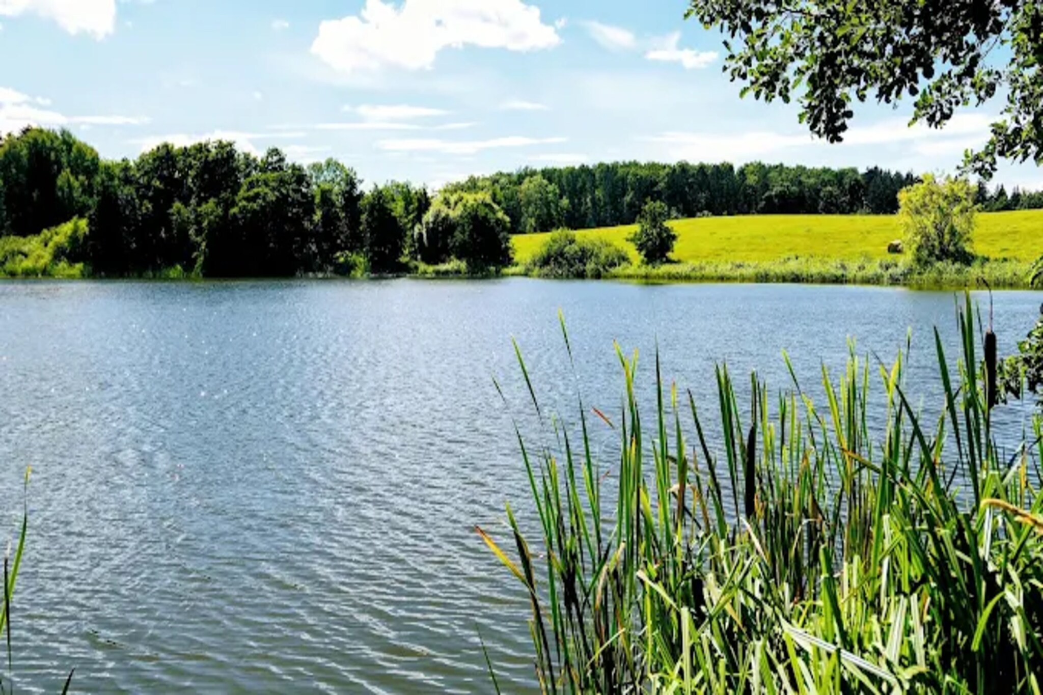Ferienwohnung mit Feldblick-Gebieden zomer 5km