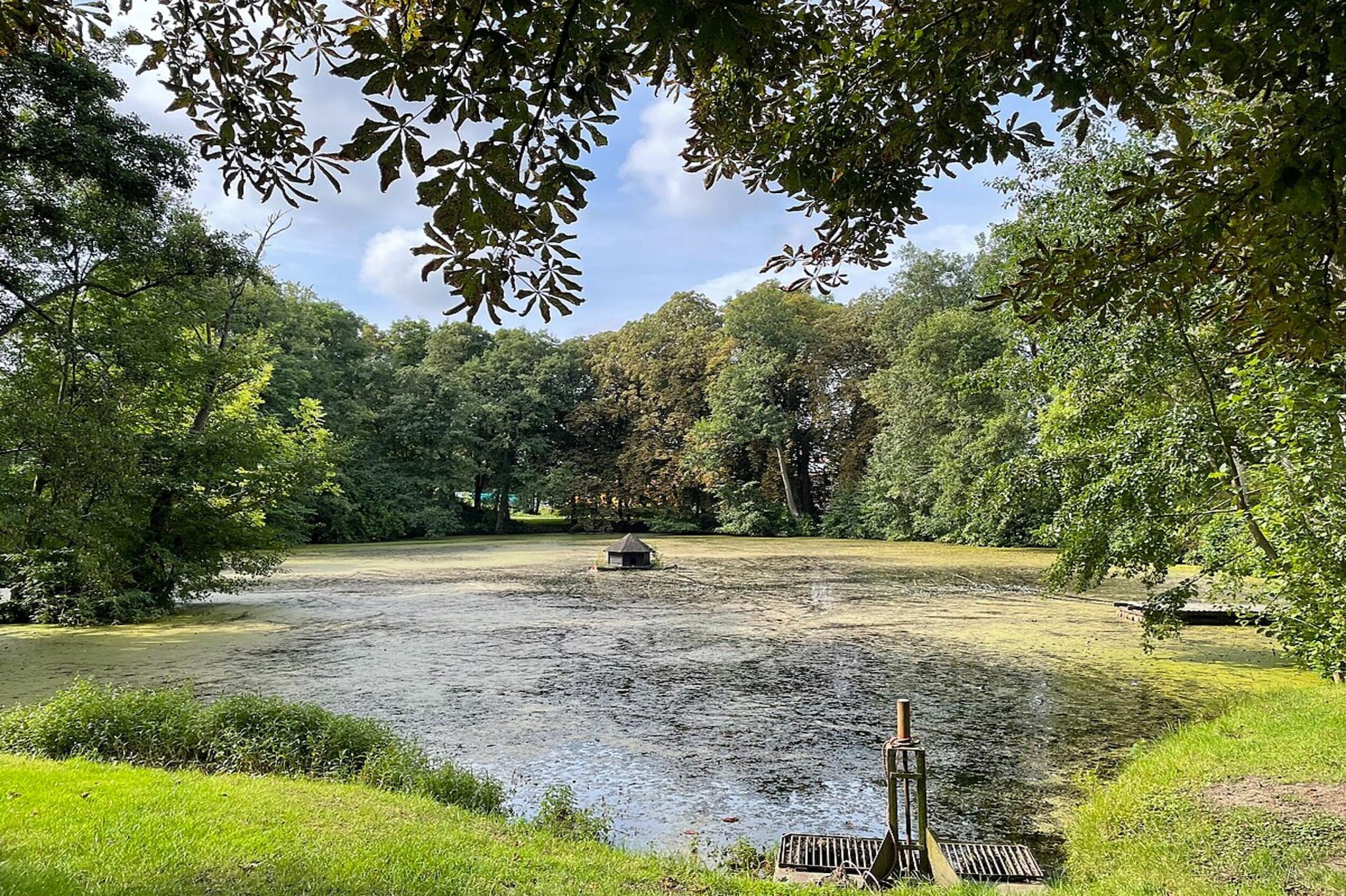 Ferienwohnung mit Feldblick-Gebieden zomer 1km