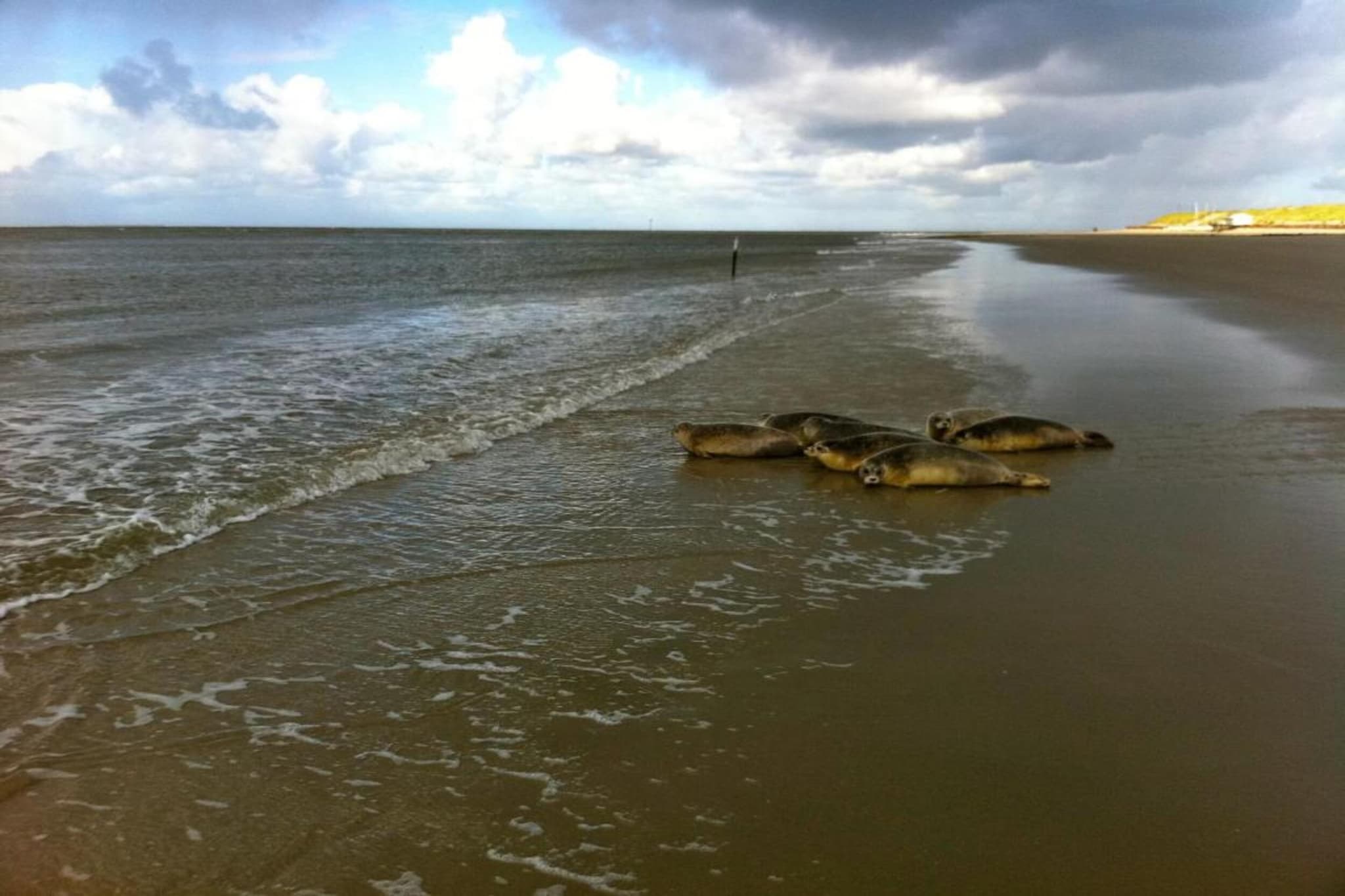 Sea Lodges Ameland 1-Gebieden zomer 20km