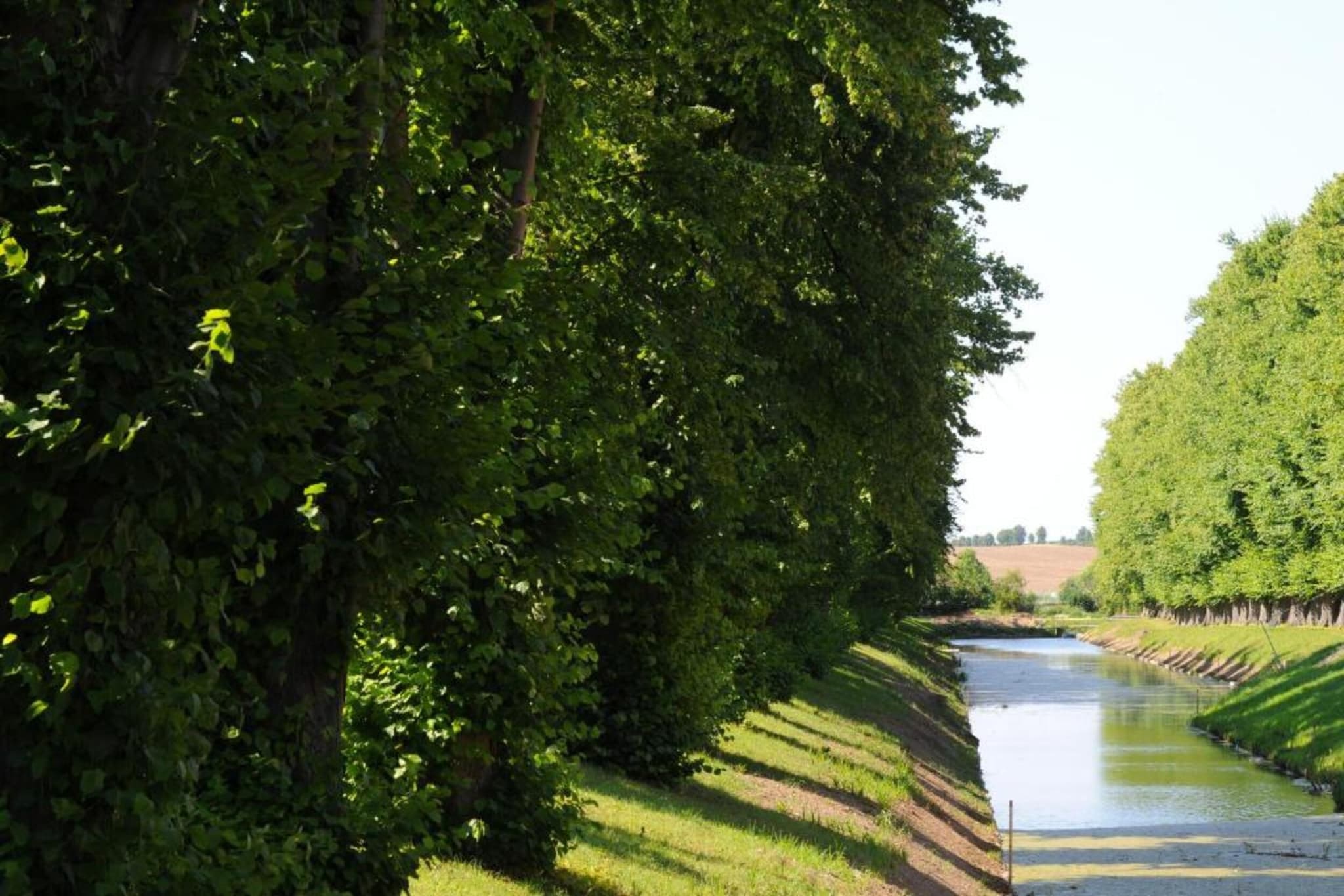 Stadthaus Klütz 1-Gebieden zomer 5km