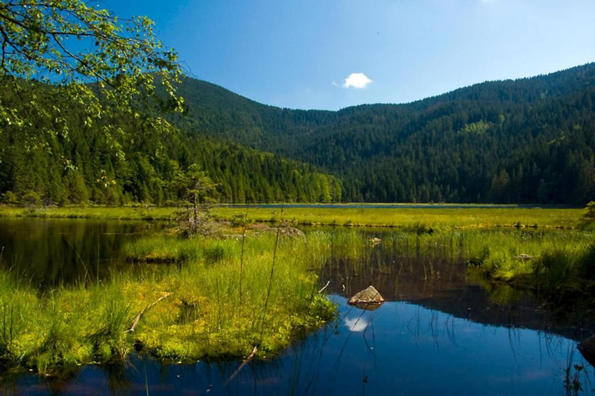Am Kasberg-Gebieden zomer 20km