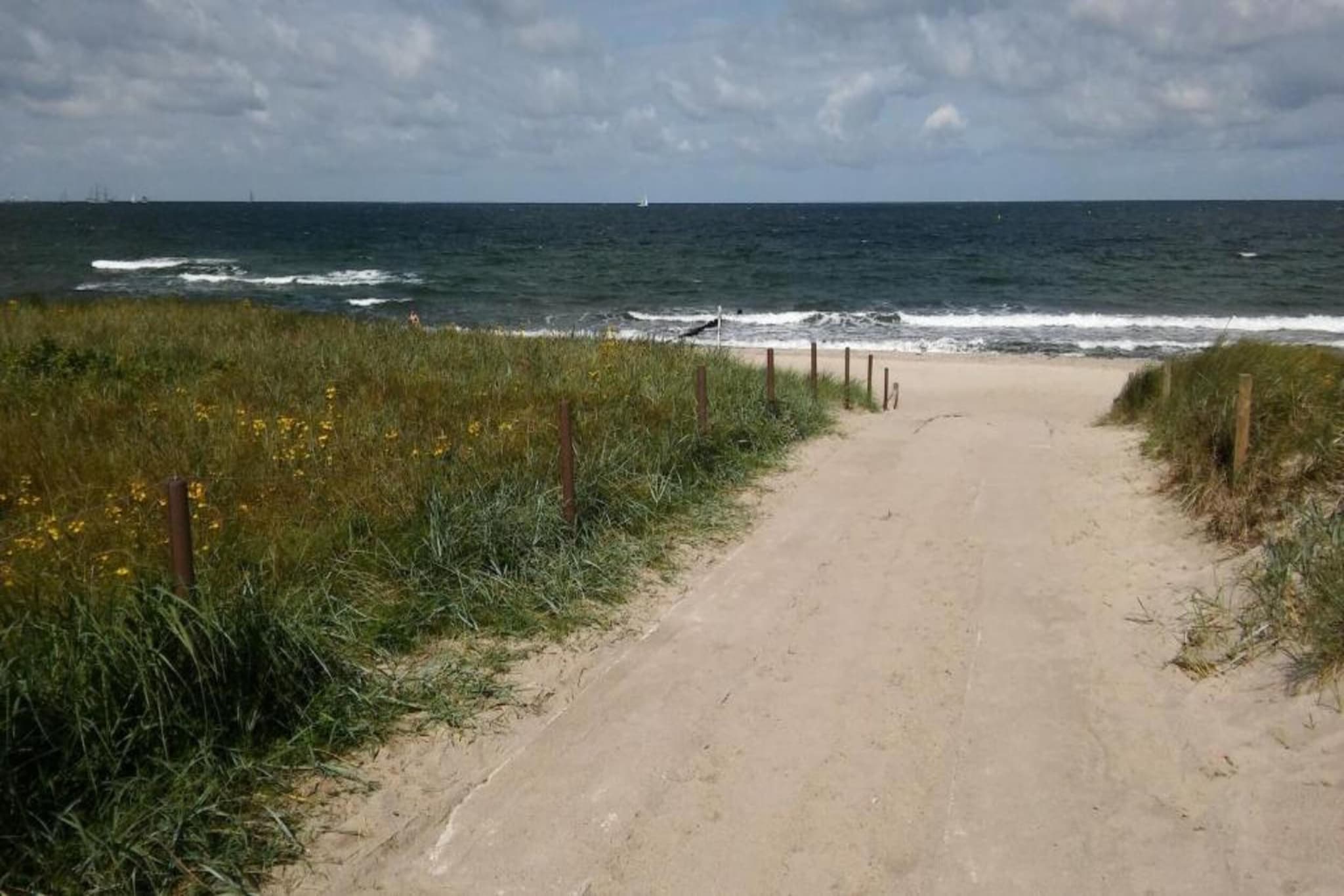 Mohnblume-Gebieden zomer 20km