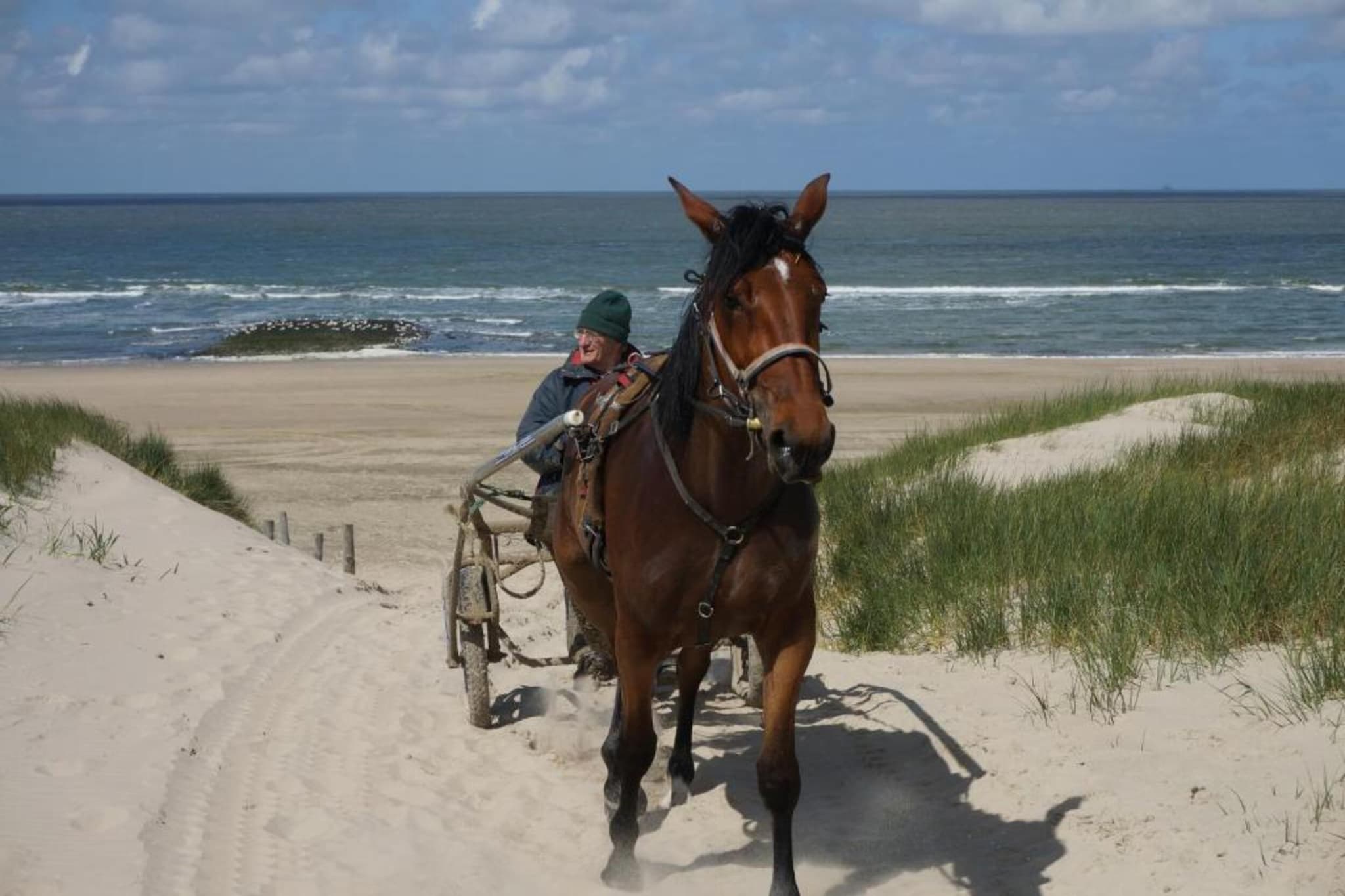 Quality Lodge aan de Duinen-Gebieden zomer 20km